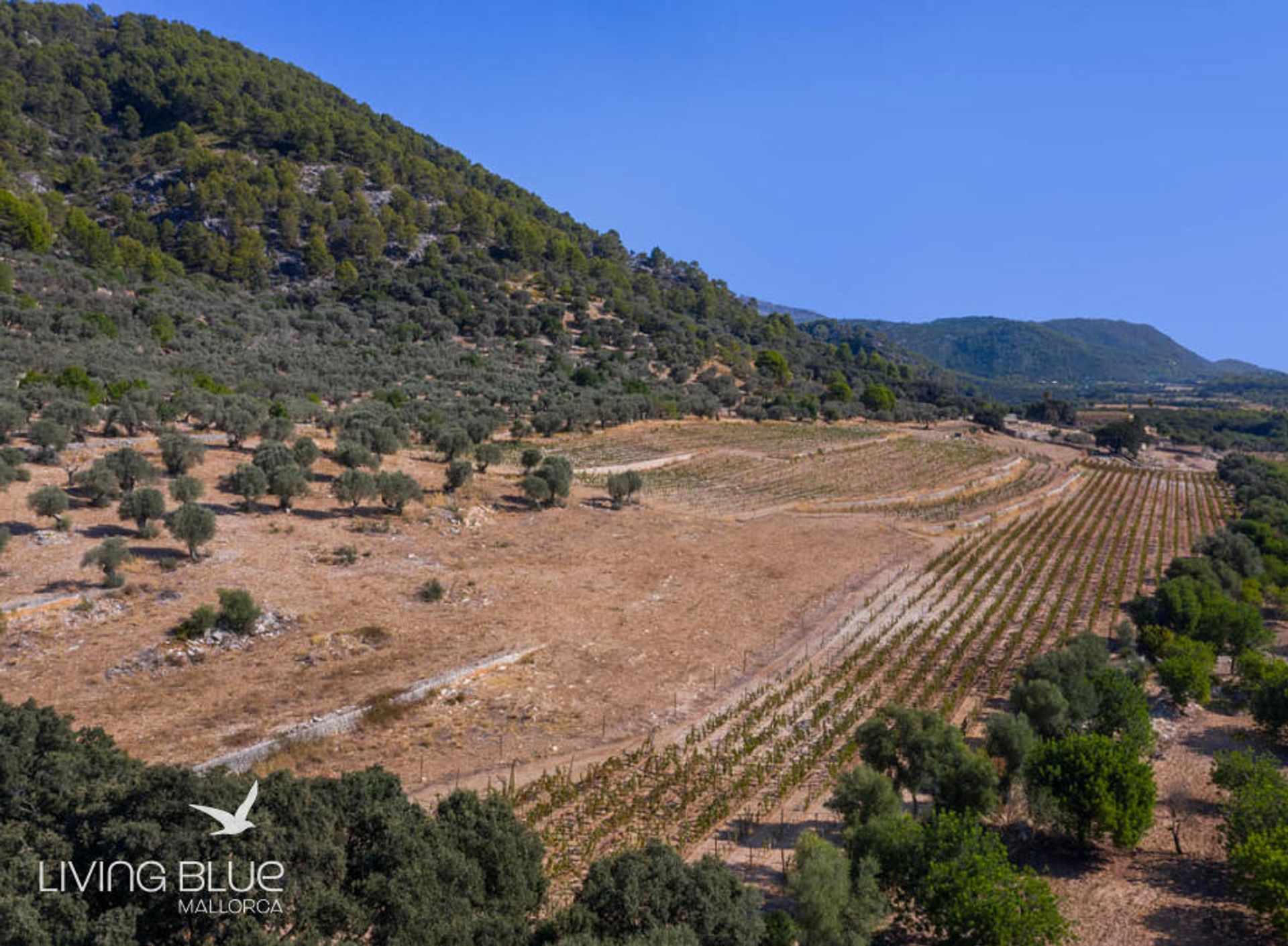 σπίτι σε Campanet, Mallorca 10071508