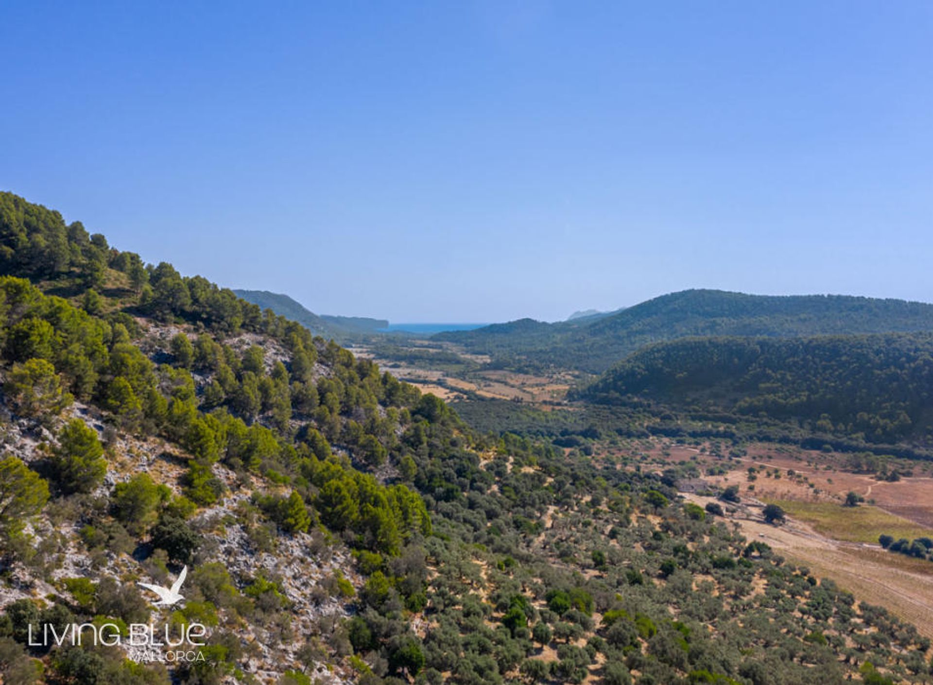 σπίτι σε Campanet, Mallorca 10071508