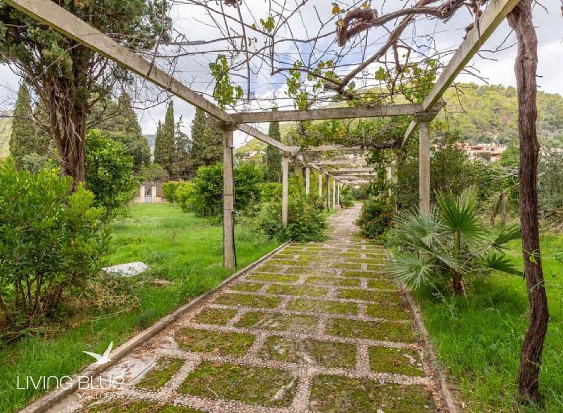 House in Alaro, Mallorca 10071518