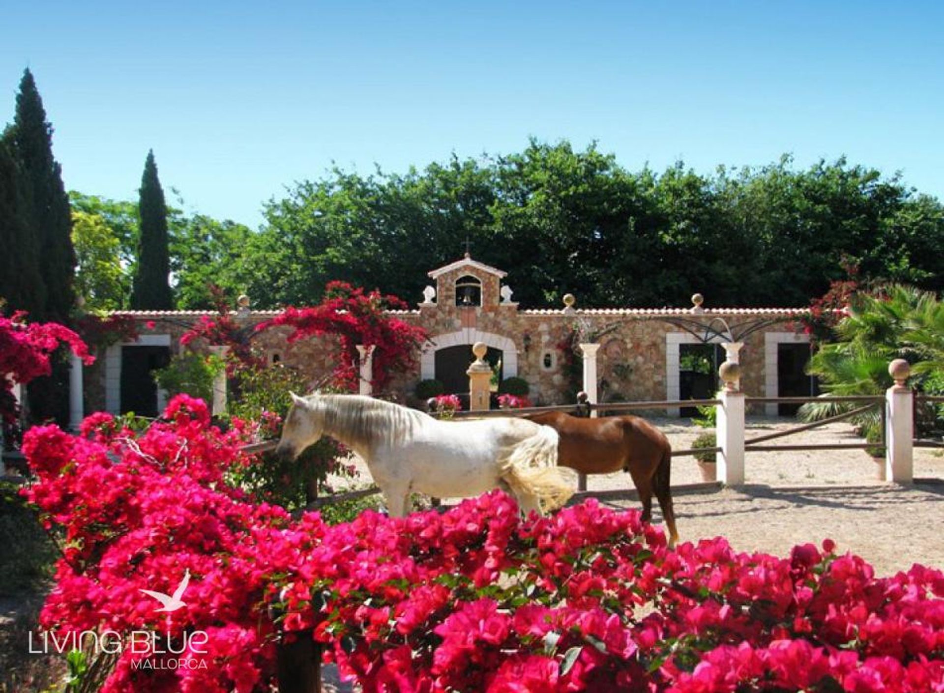 Haus im Binisalem, Balearic Islands 10071528