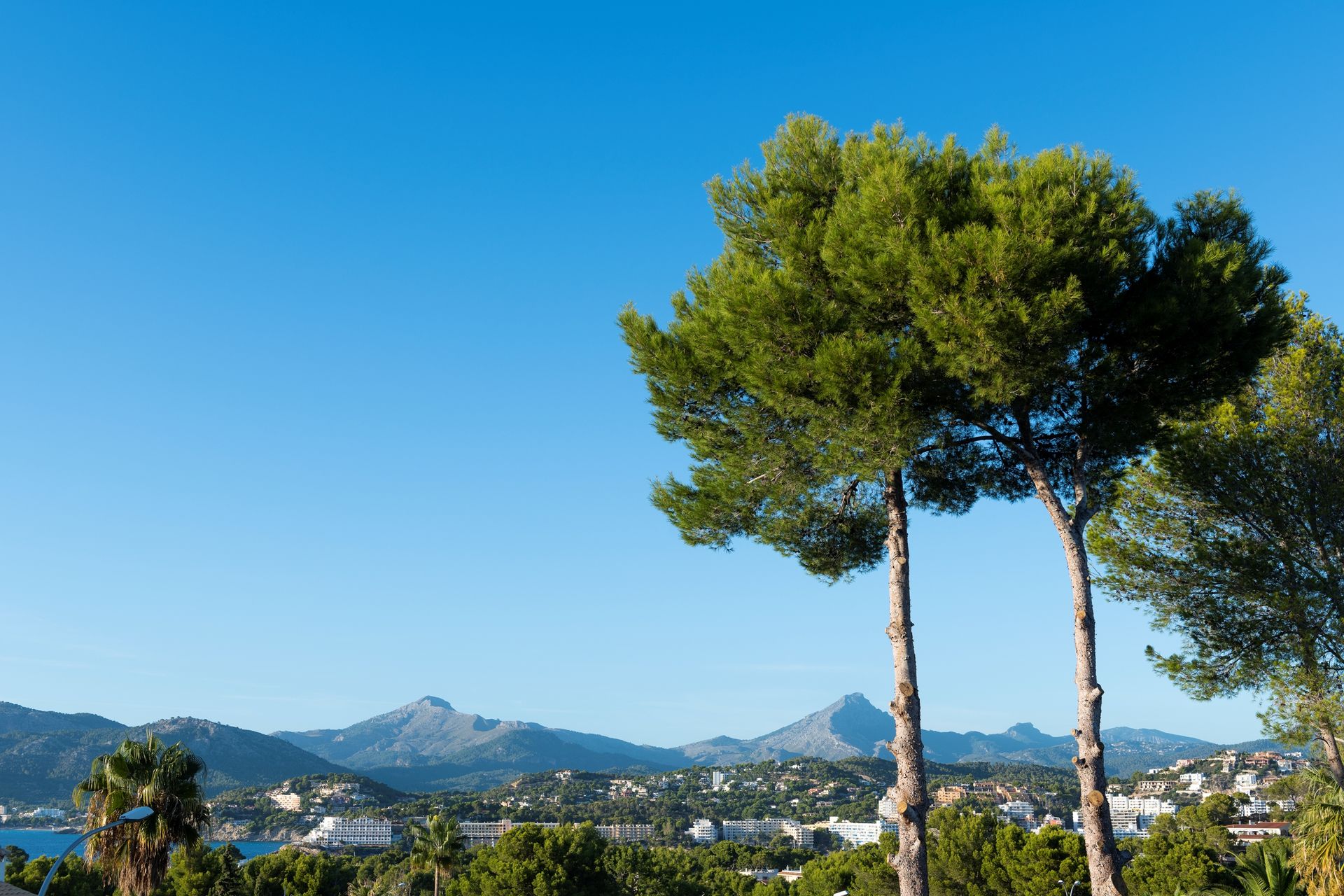 Hus i Santa Ponsa, Palma De Mallorca 10072782