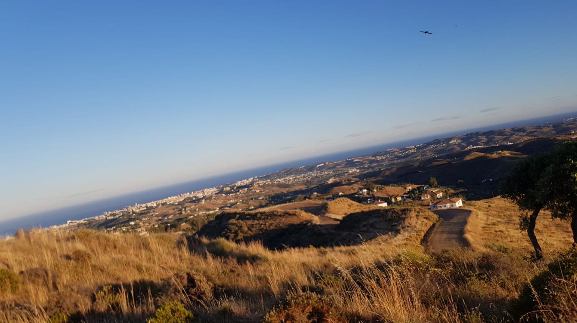 Tanah di Alhaurin el Grande, Andalusia 10075207