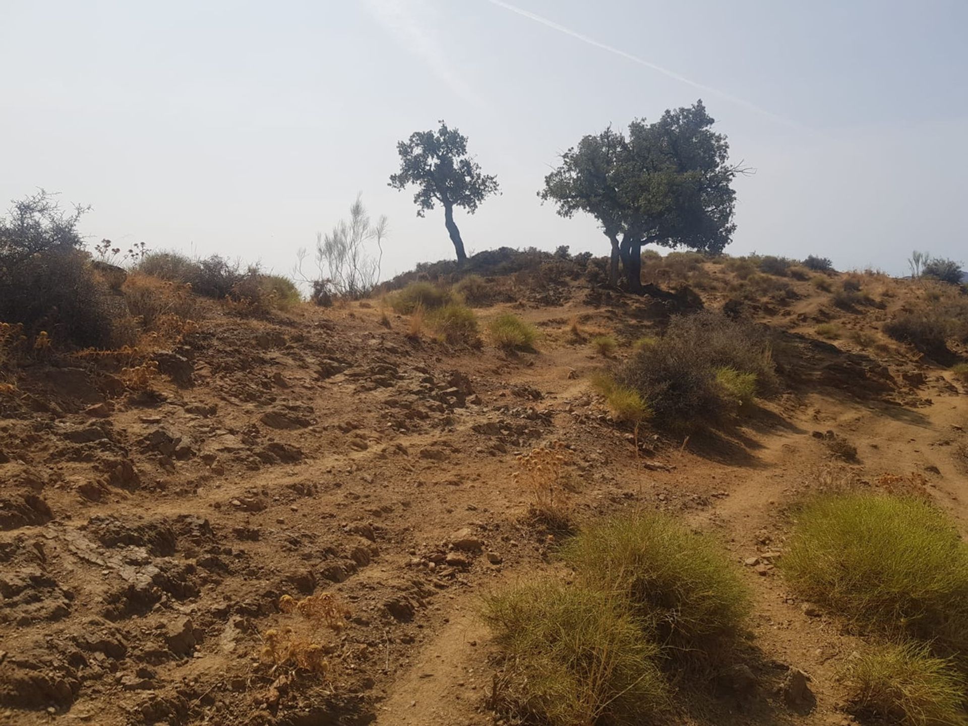 Tanah di Alhaurin el Grande, Andalusia 10075207