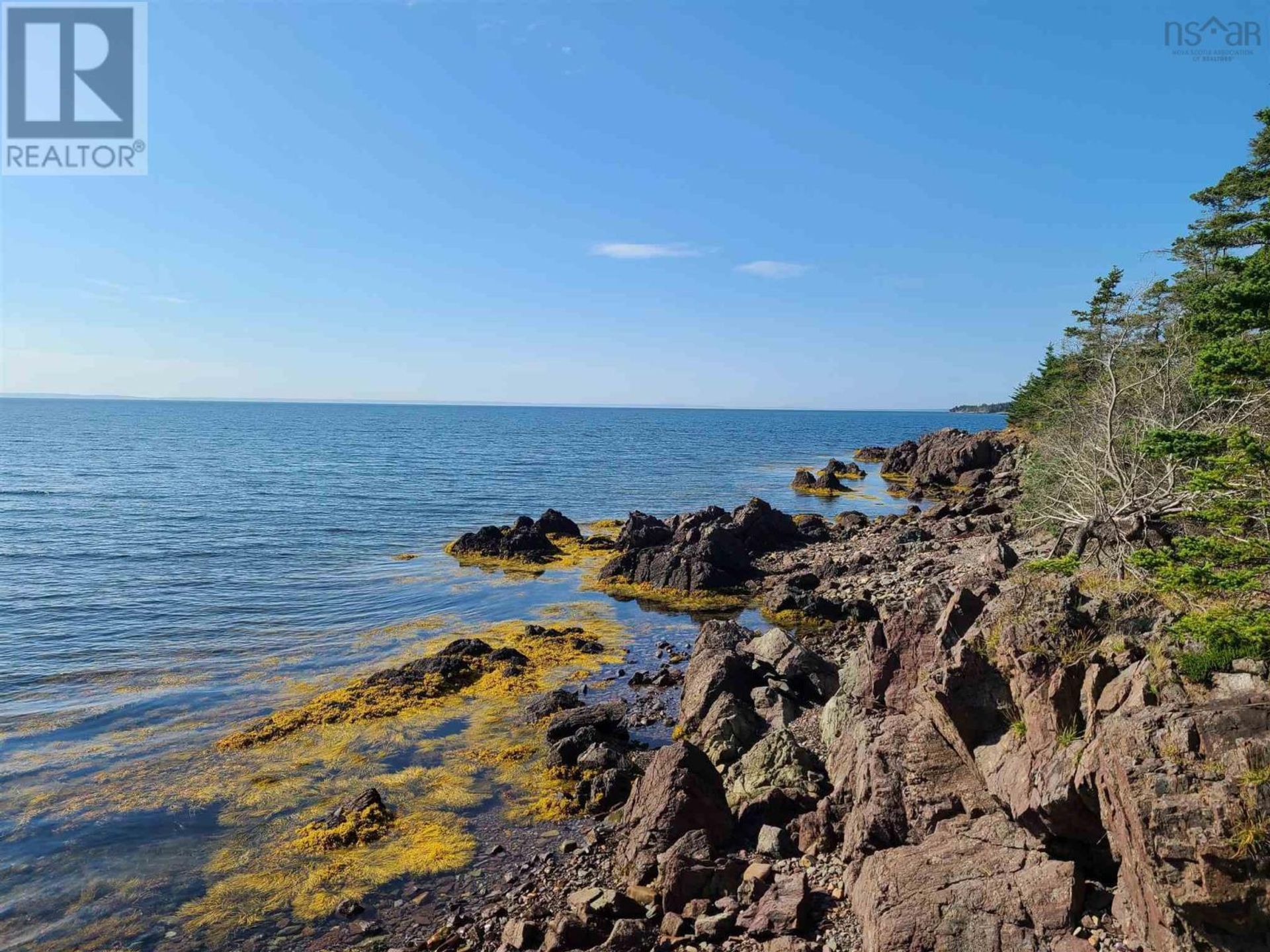 rumah dalam Pelabuhan Hawkesbury, Nova Scotia 10078758