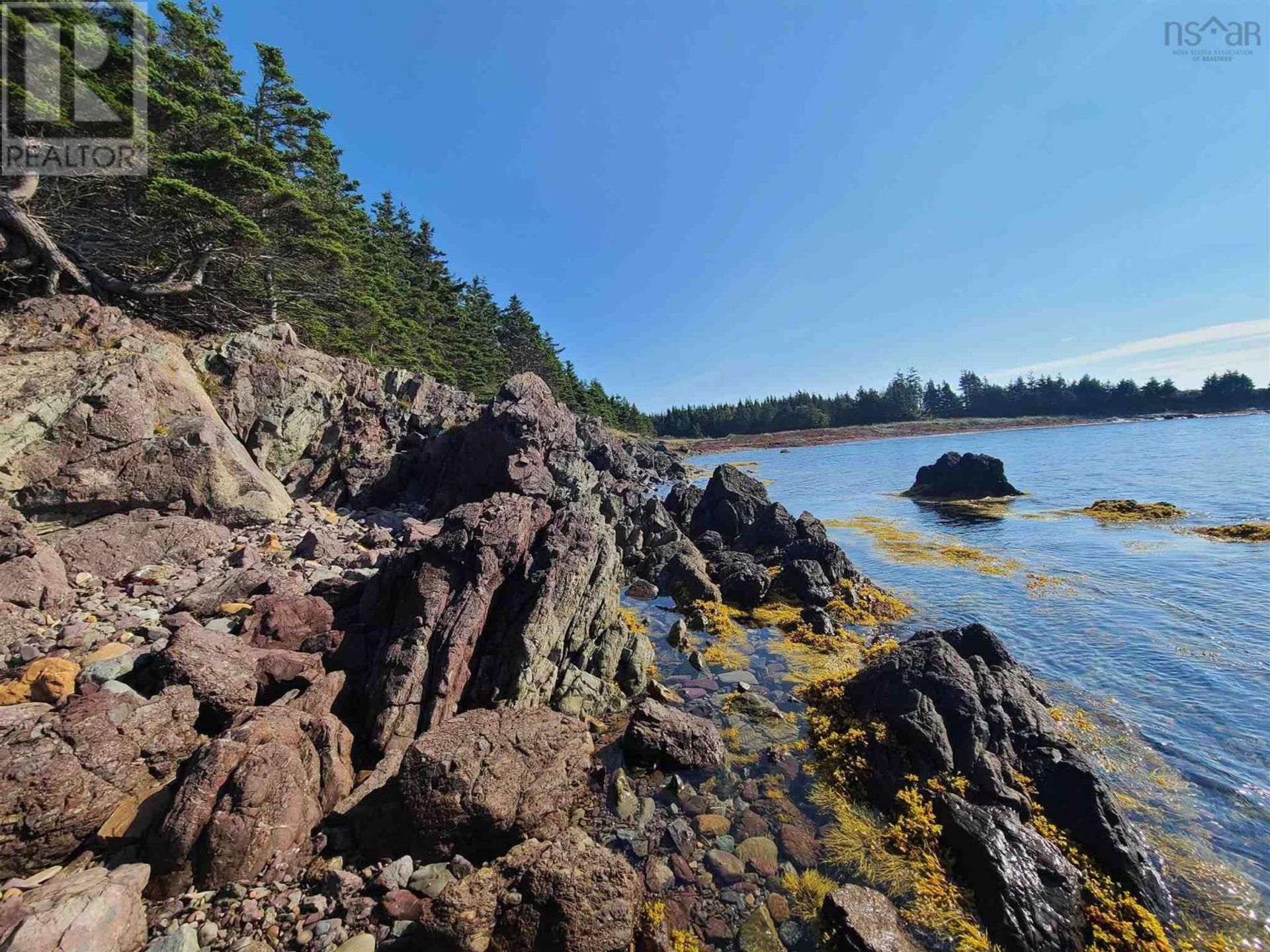 rumah dalam Pelabuhan Hawkesbury, Nova Scotia 10078758