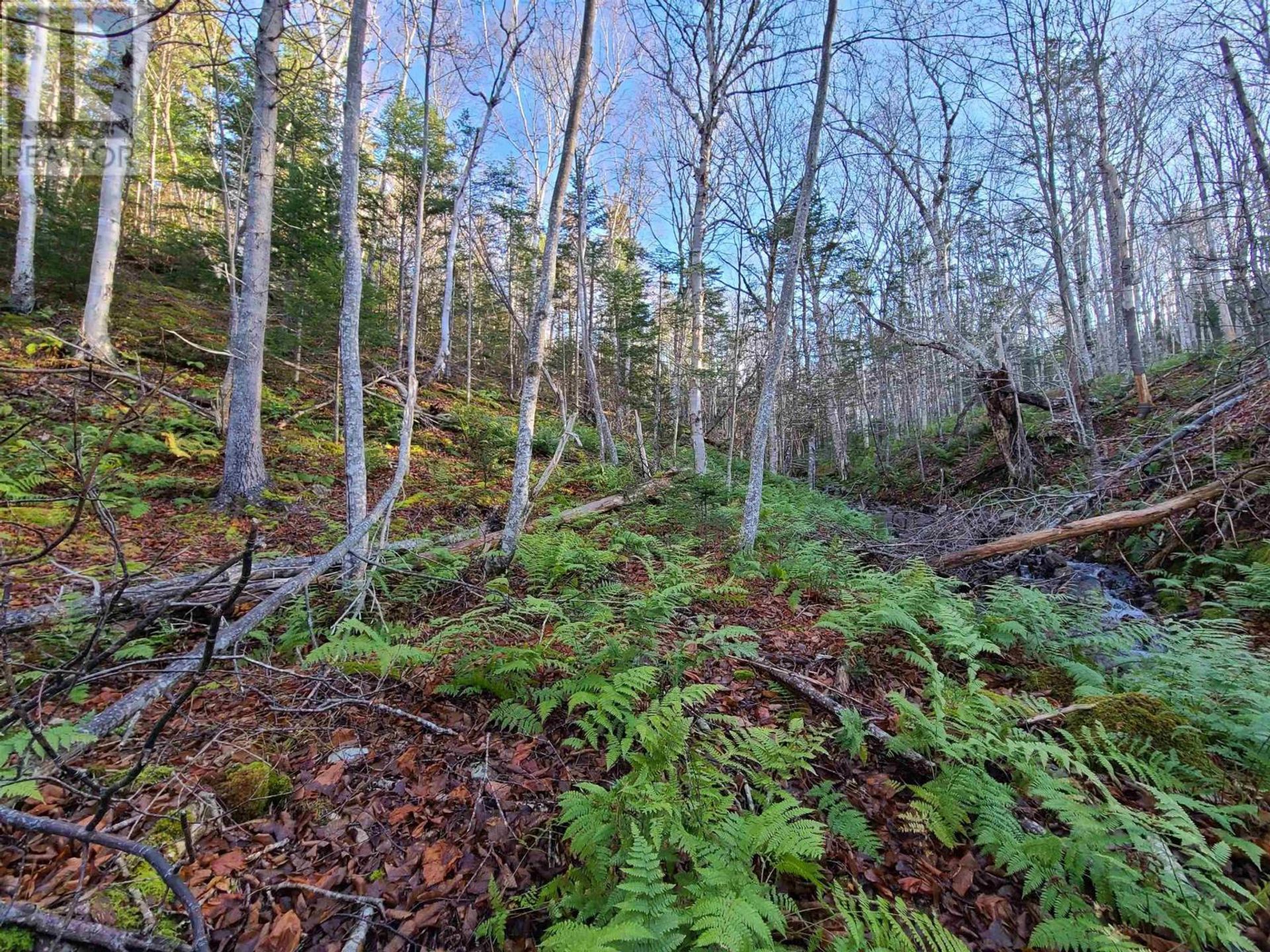 Γη σε Middle Cape, Nova Scotia 10078779