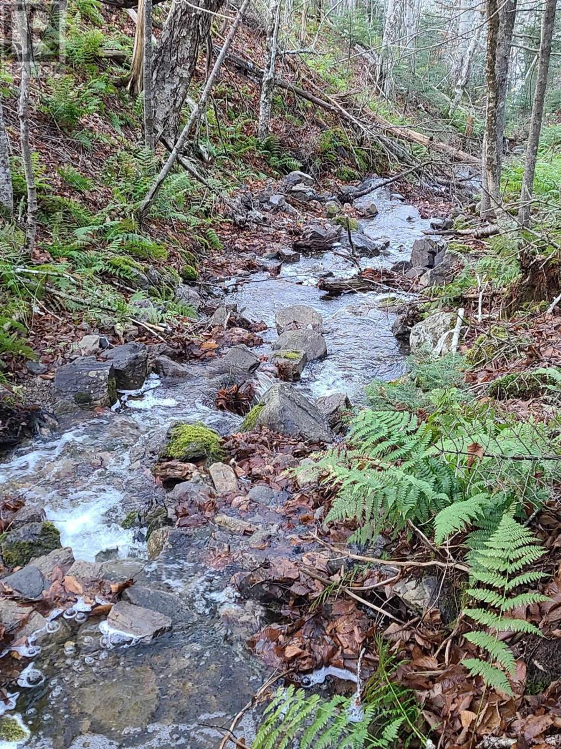 Γη σε Middle Cape, Nova Scotia 10078779