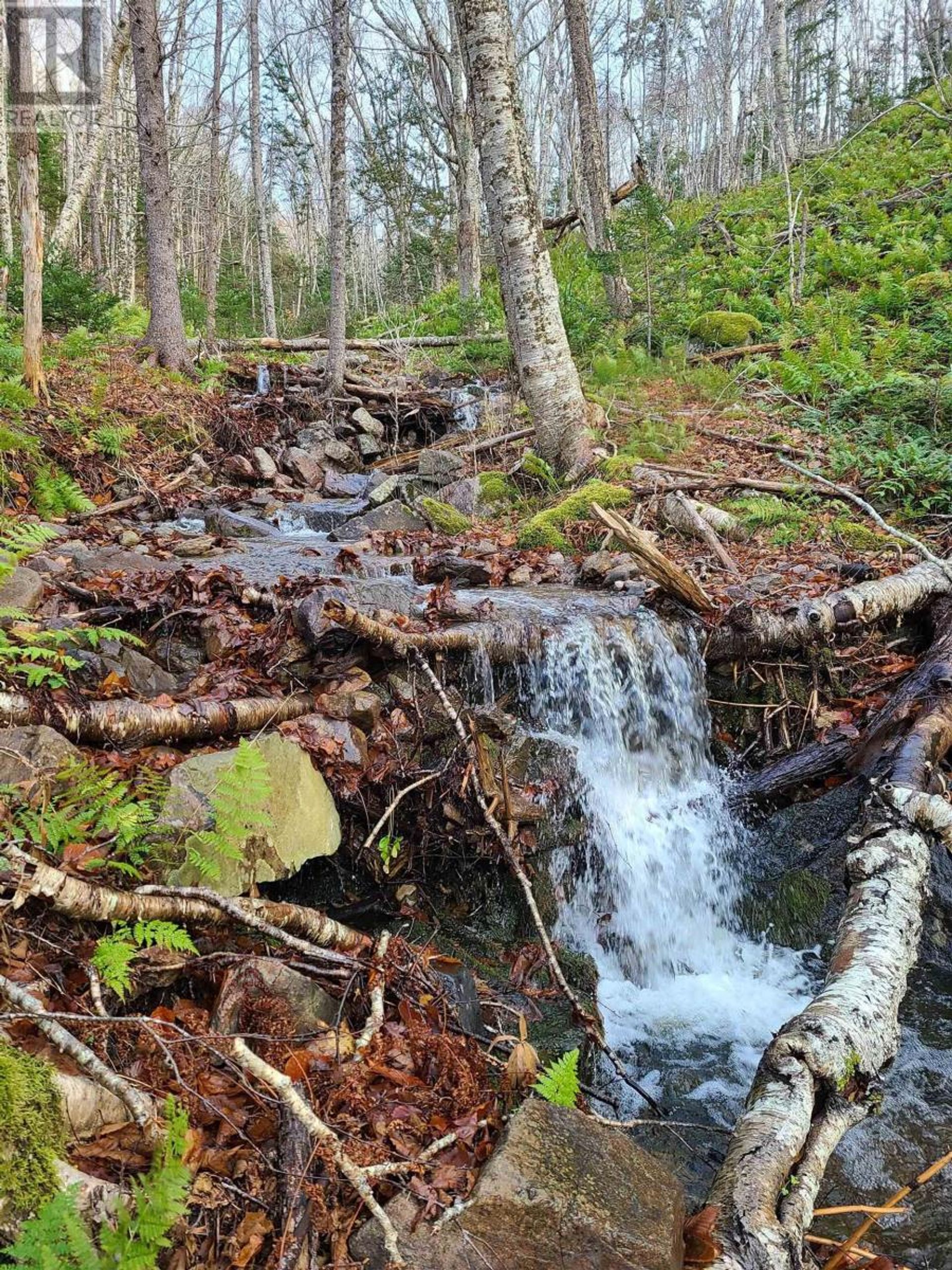 Land i Baddeck, Nova Scotia 10078779