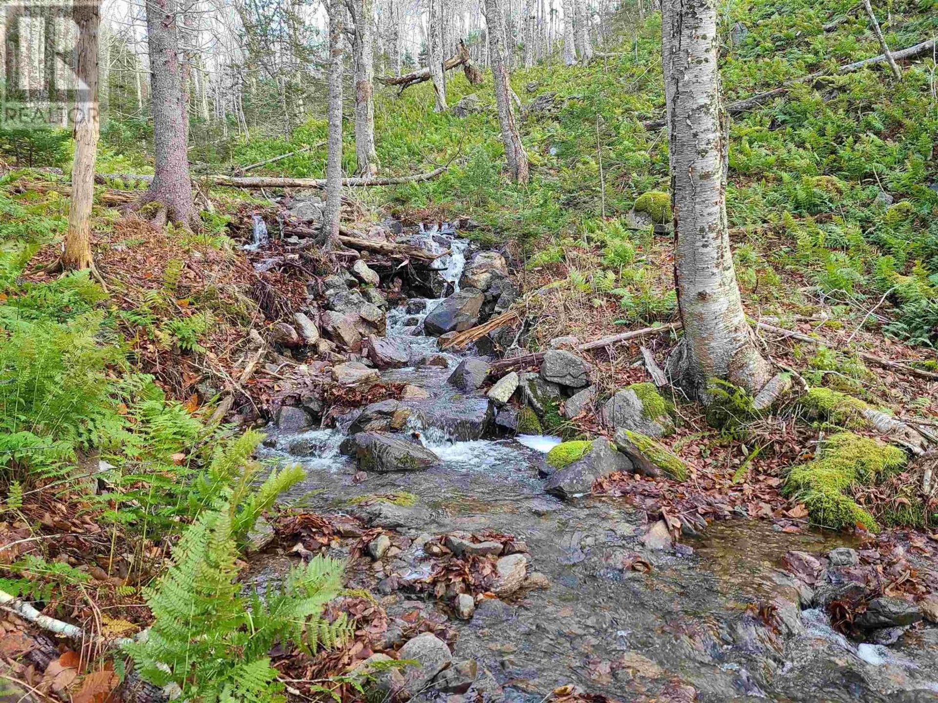 Tanah di Baddeck, Nova Scotia 10078779