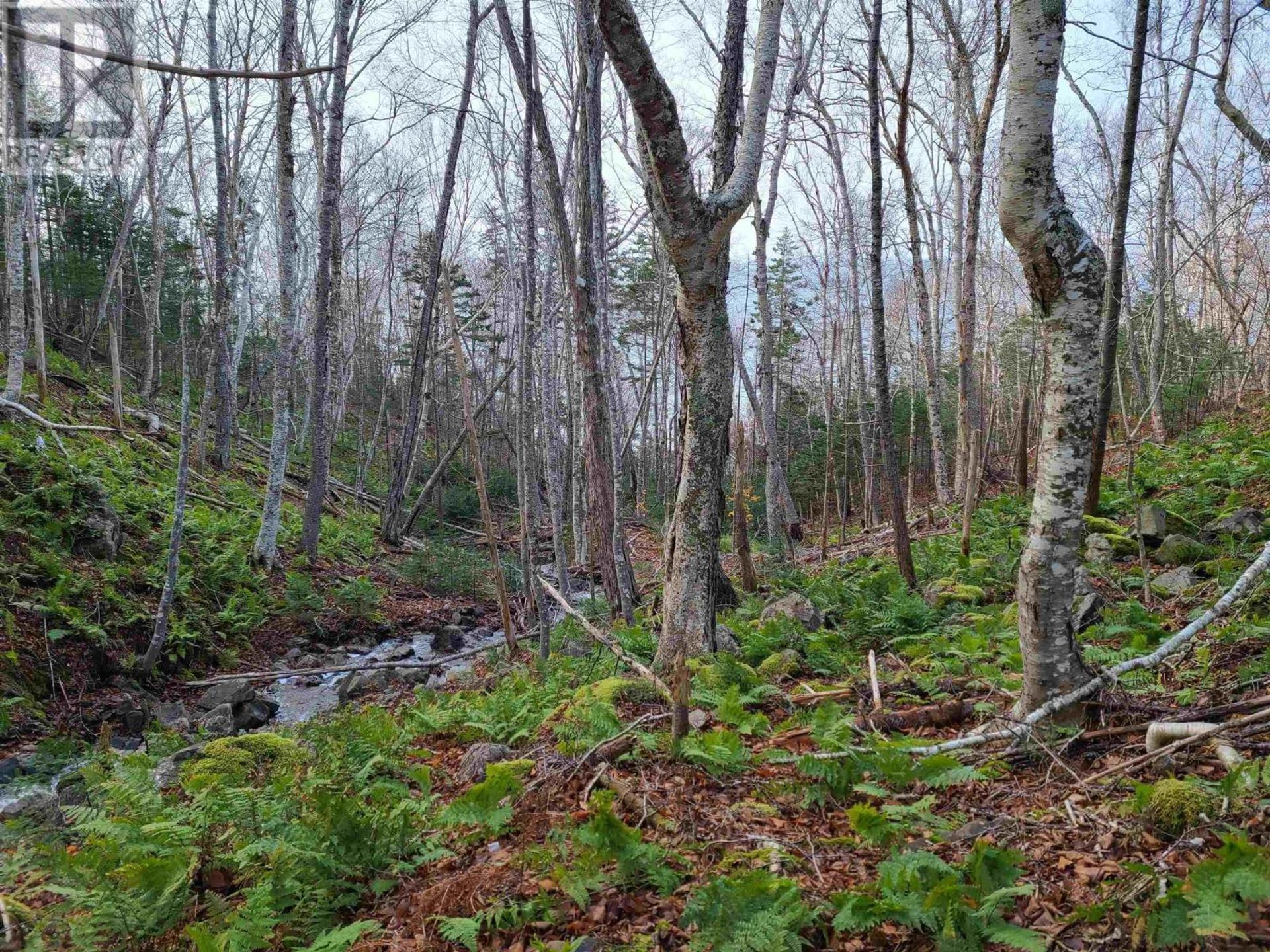 Tanah di Baddeck, Nova Scotia 10078779