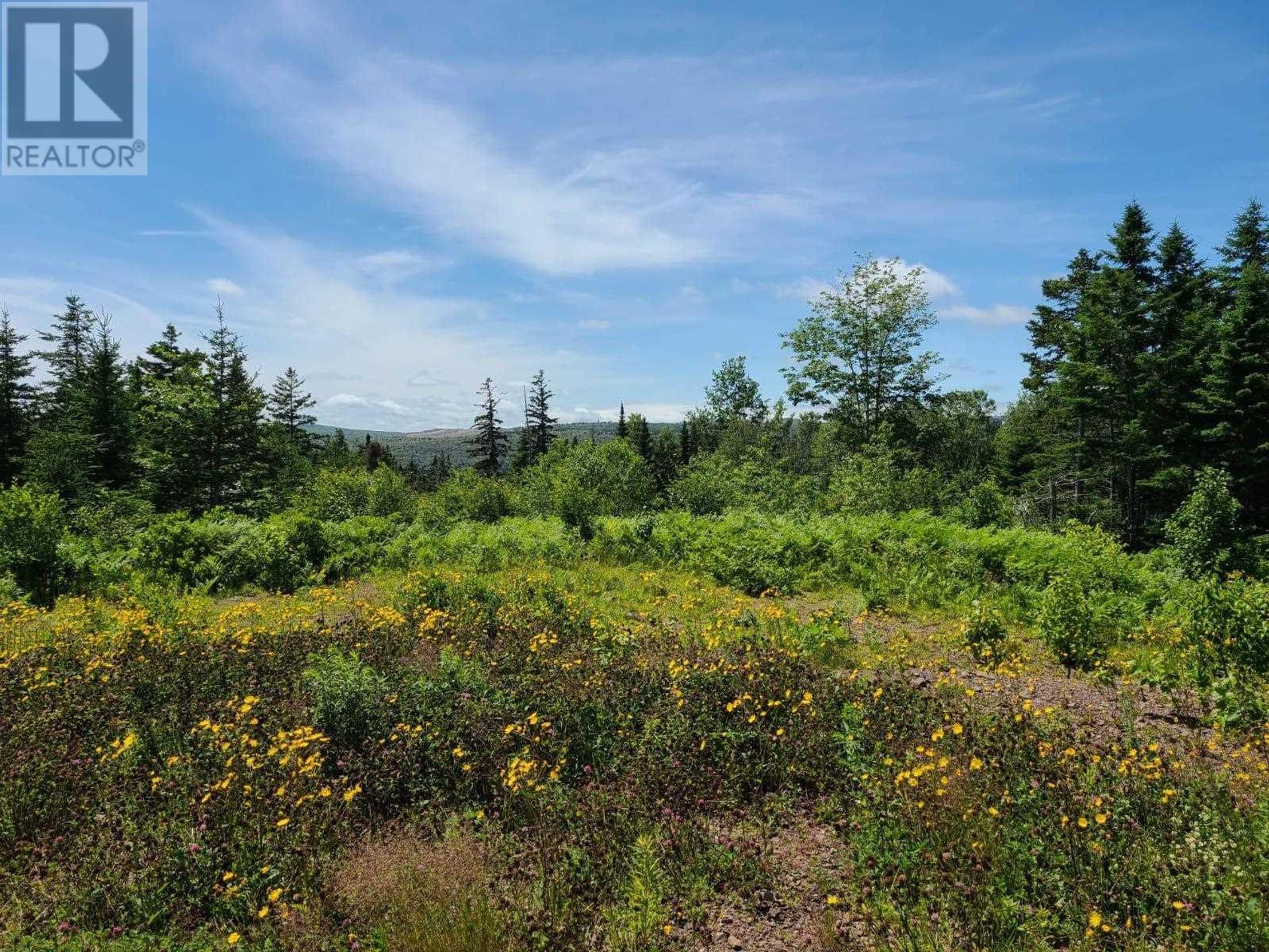 Tierra en Mulgrave, Nova Scotia 10078785