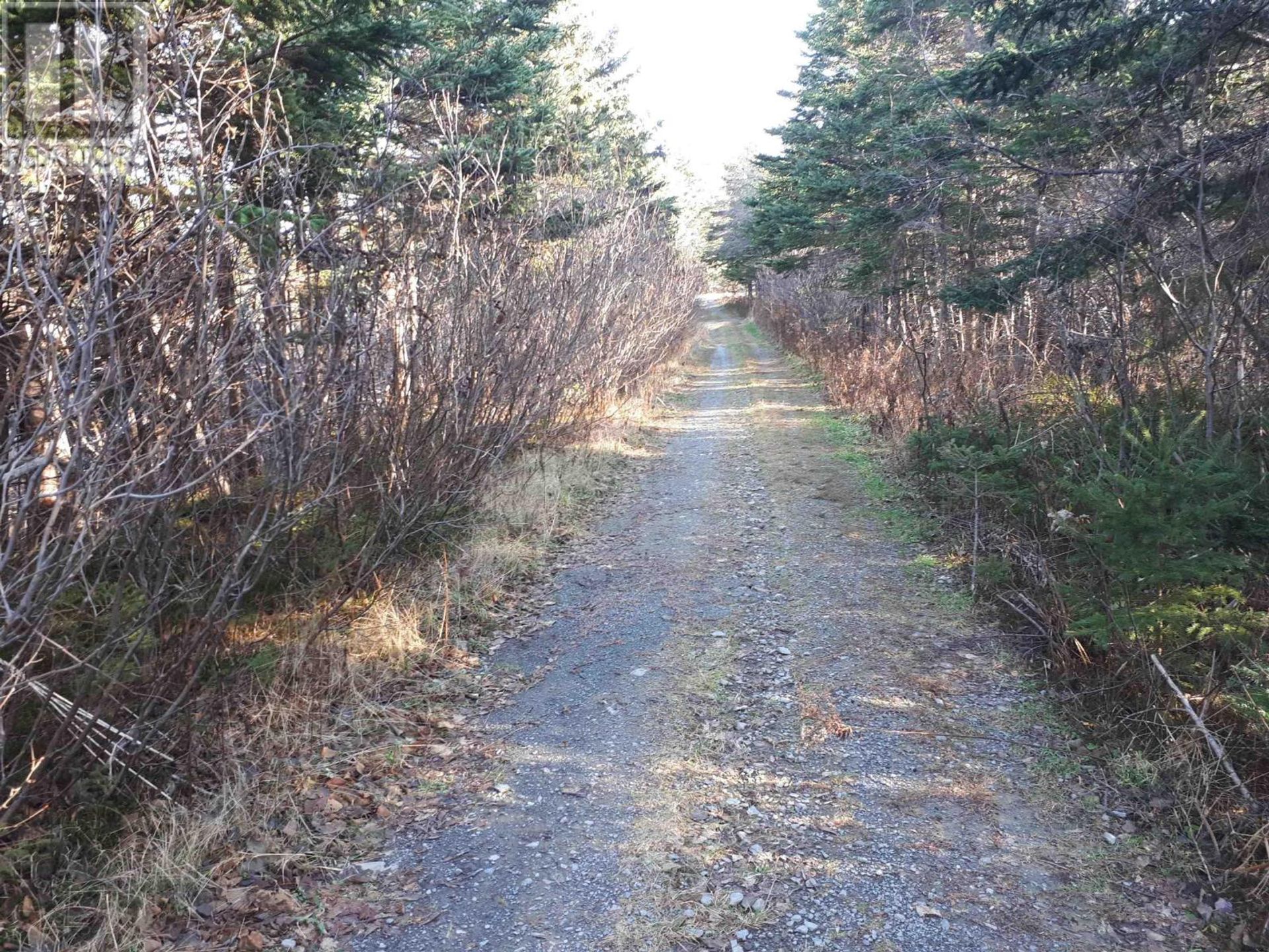 Tanah dalam Lower L'Ardoise, Nova Scotia 10078847