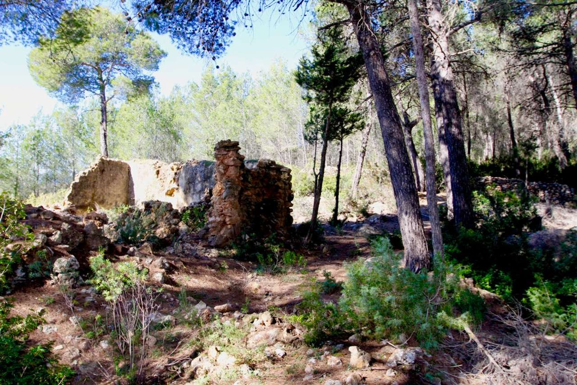 Hus i San Lorenzo, Ibiza 10079468