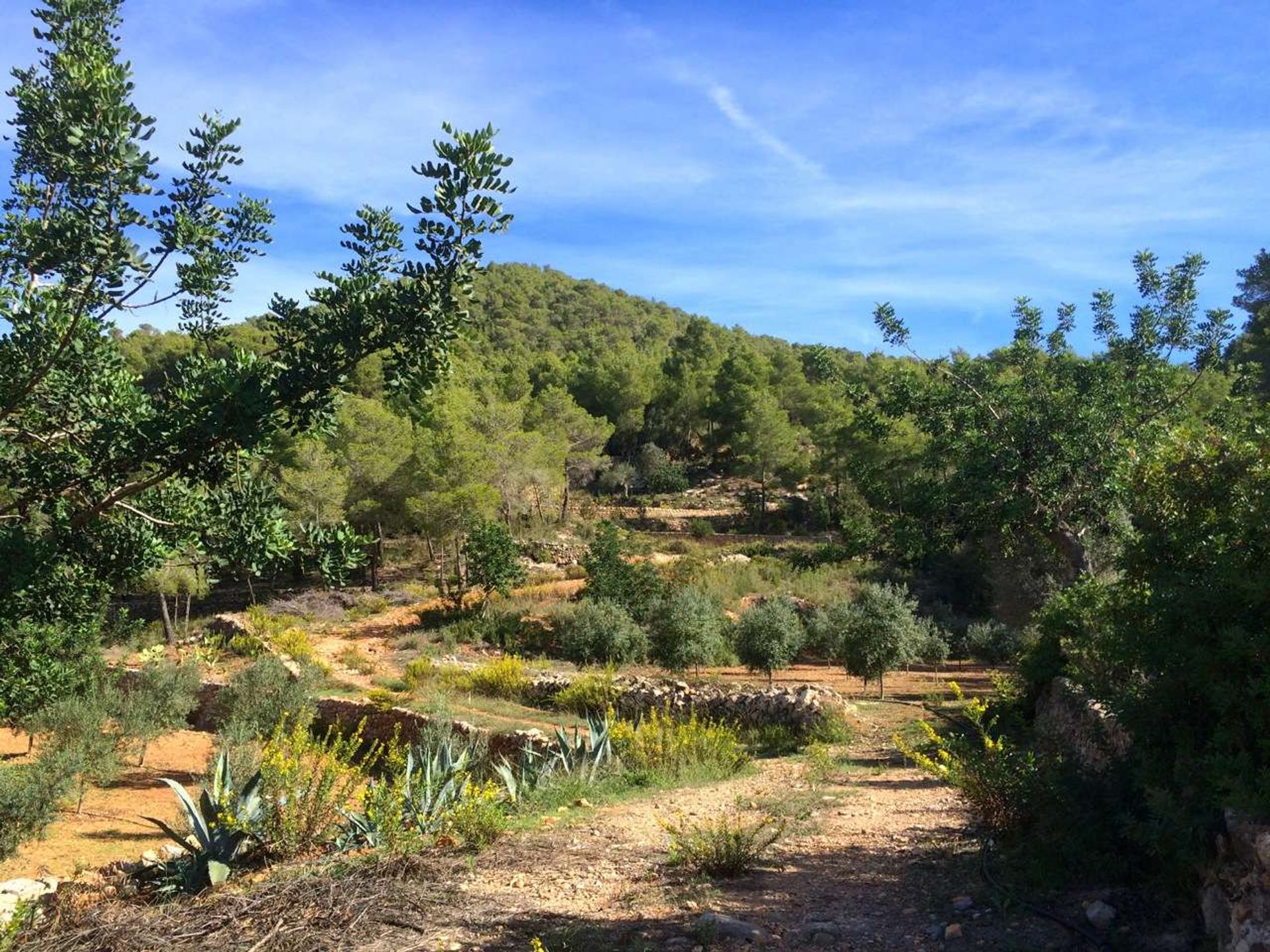 σπίτι σε San Lorenzo, Ibiza 10079468