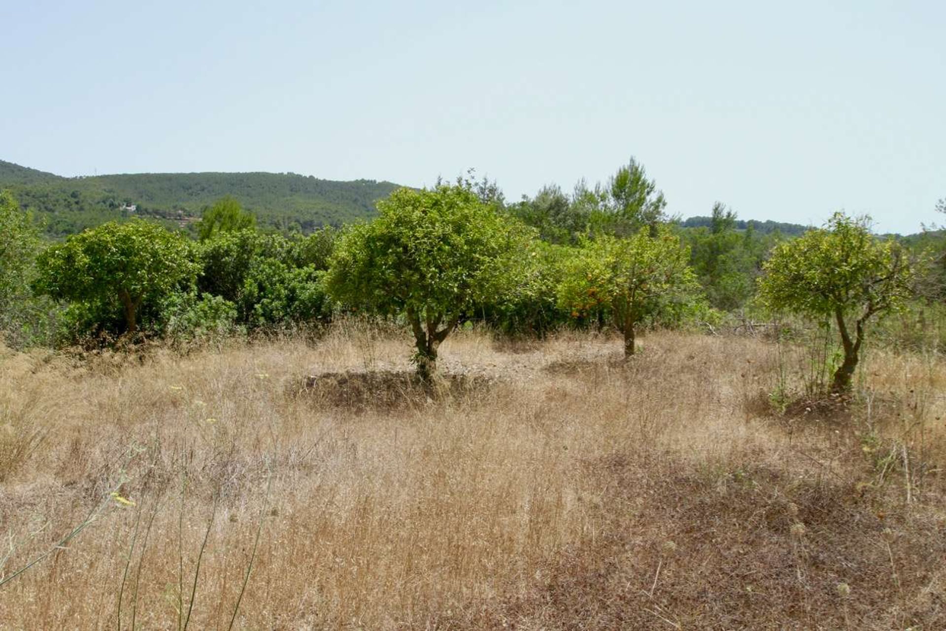 Talo sisään Joulupukki Gertrudis, Baleaarit 10079538