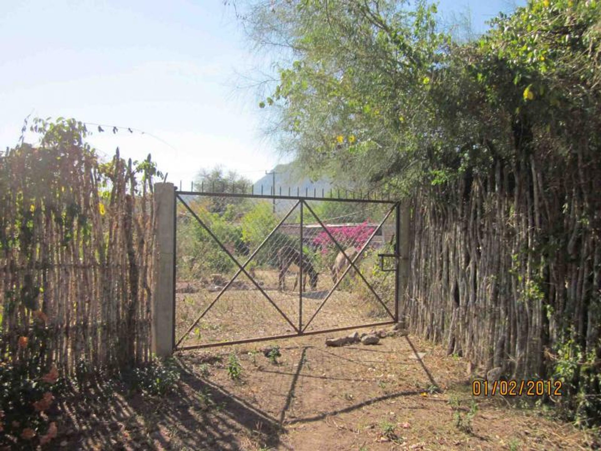 casa no Álamos, Sonora 10079781