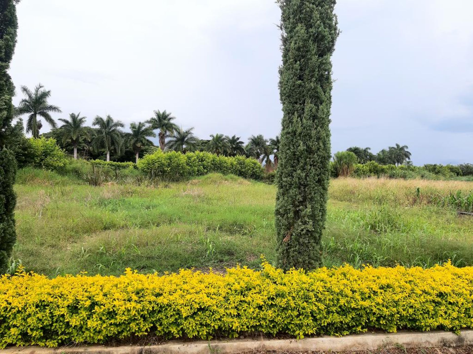 Tierra en Cauguya, Valle del Cauca 10080972