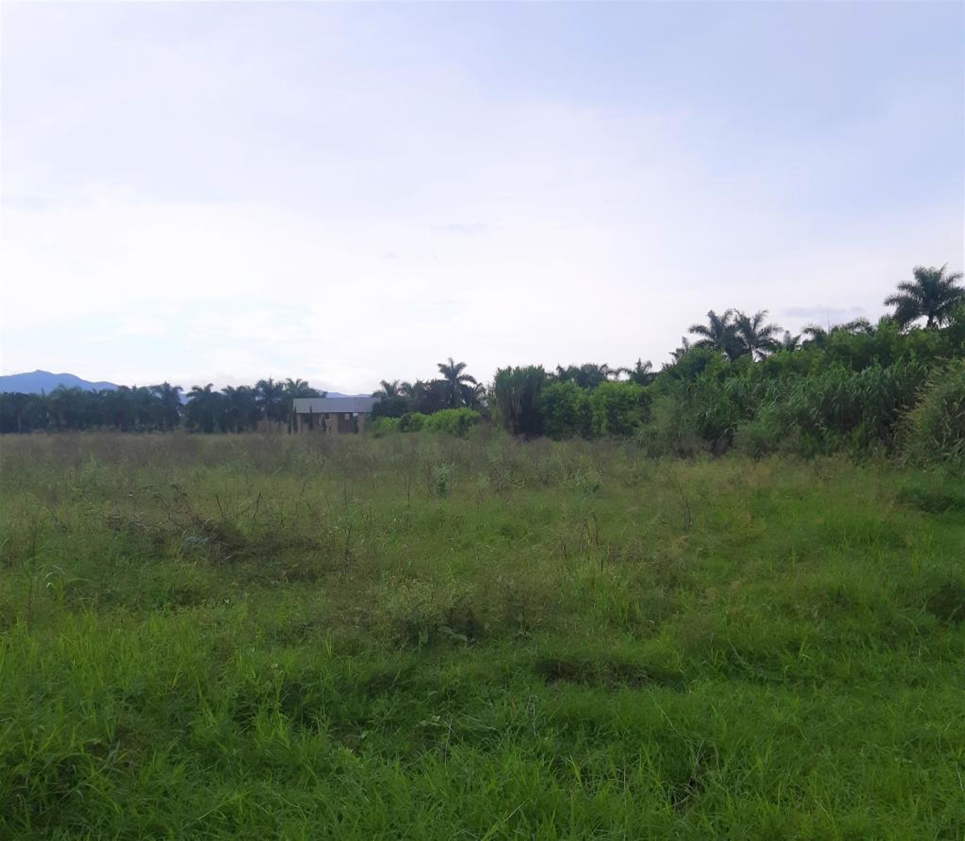 Land in Palmira,  10080972