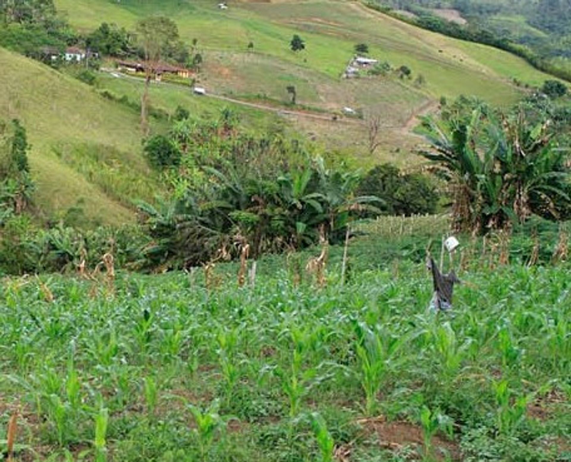 Maa sisään Darién, Valle del Cauca 10080976