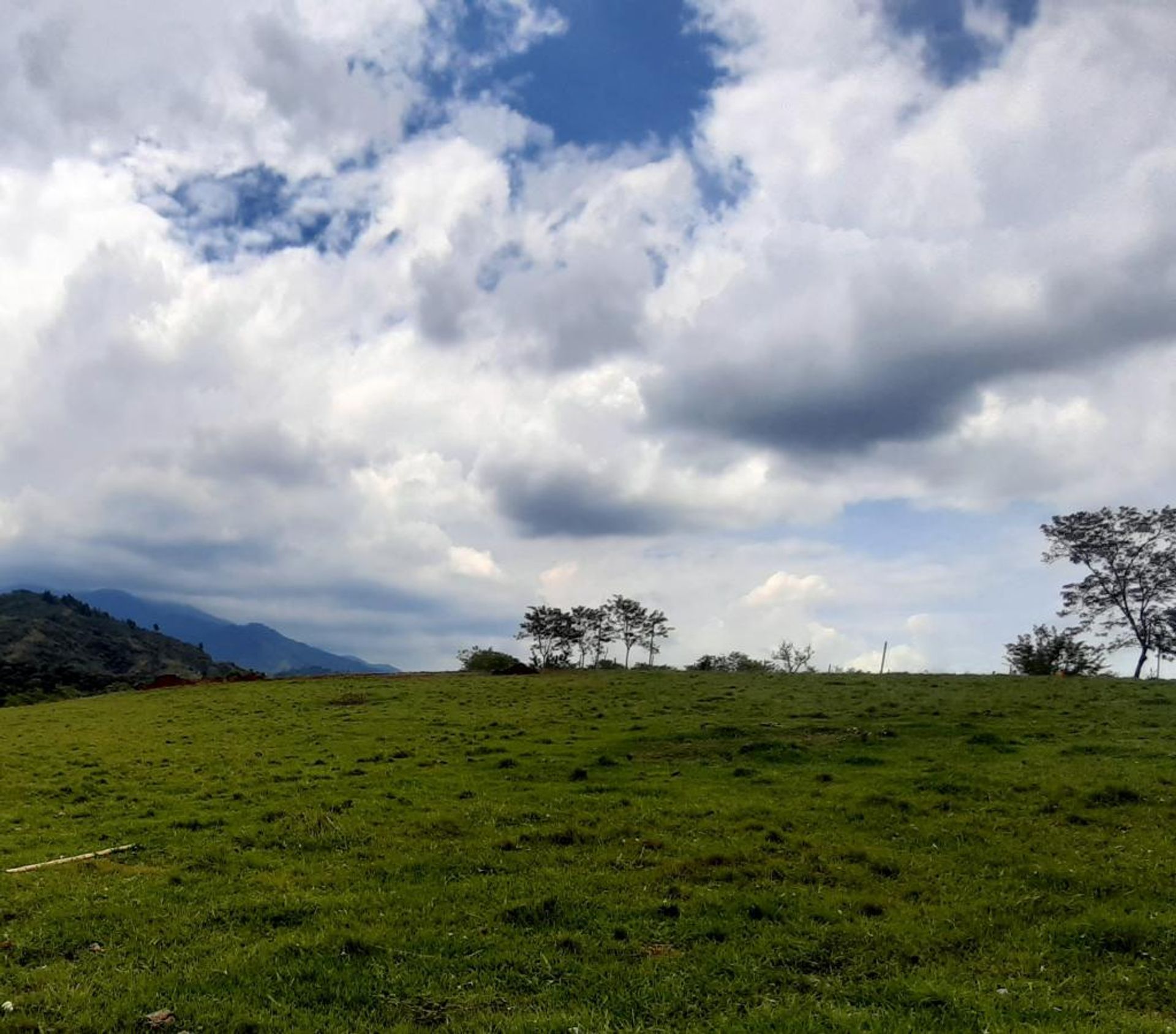 Jord i Tienda Nueva, Valle del Cauca 10080982