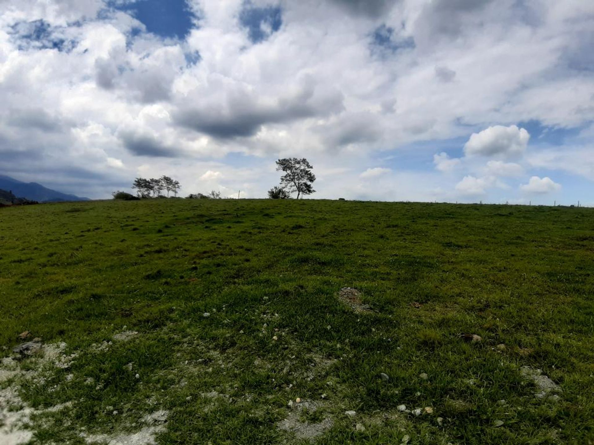 Land in Tienda Nueva, Valle del Cauca 10080982