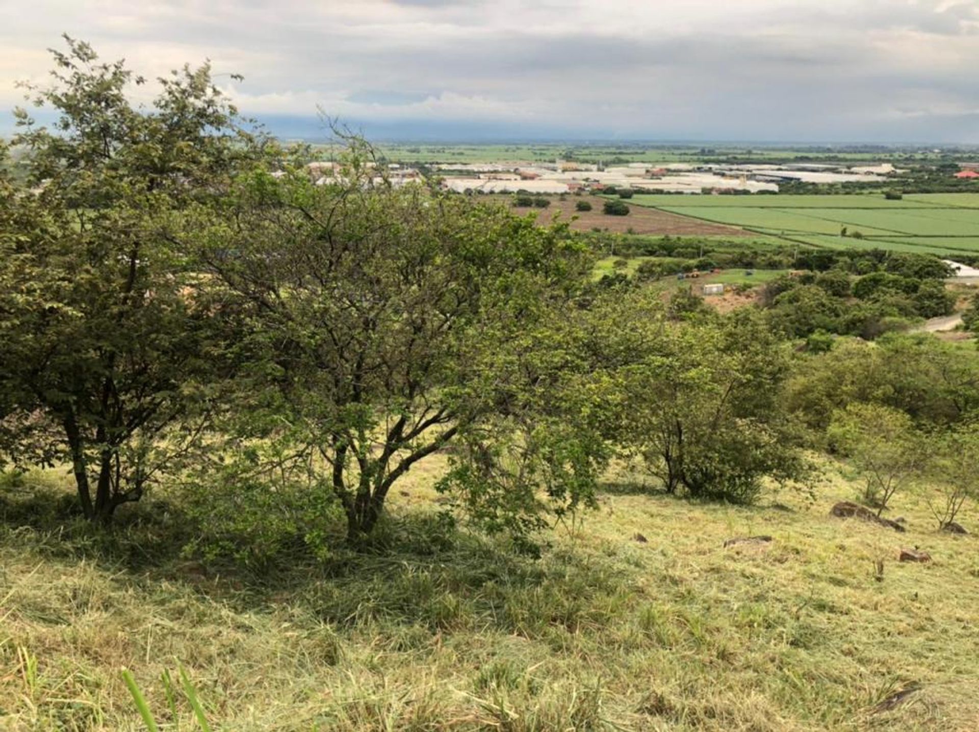 Wylądować w Jumbo, Valle del Cauca 10081006