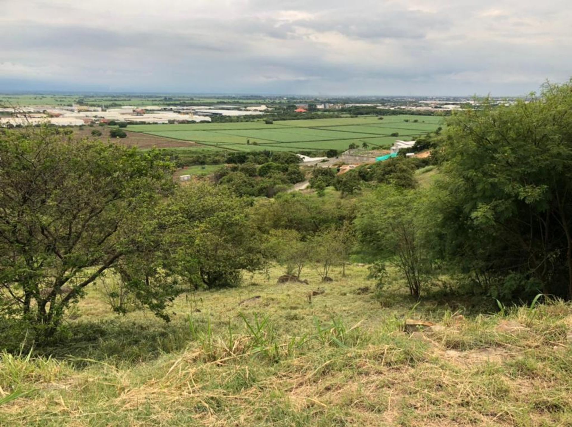 Wylądować w Jumbo, Valle del Cauca 10081006