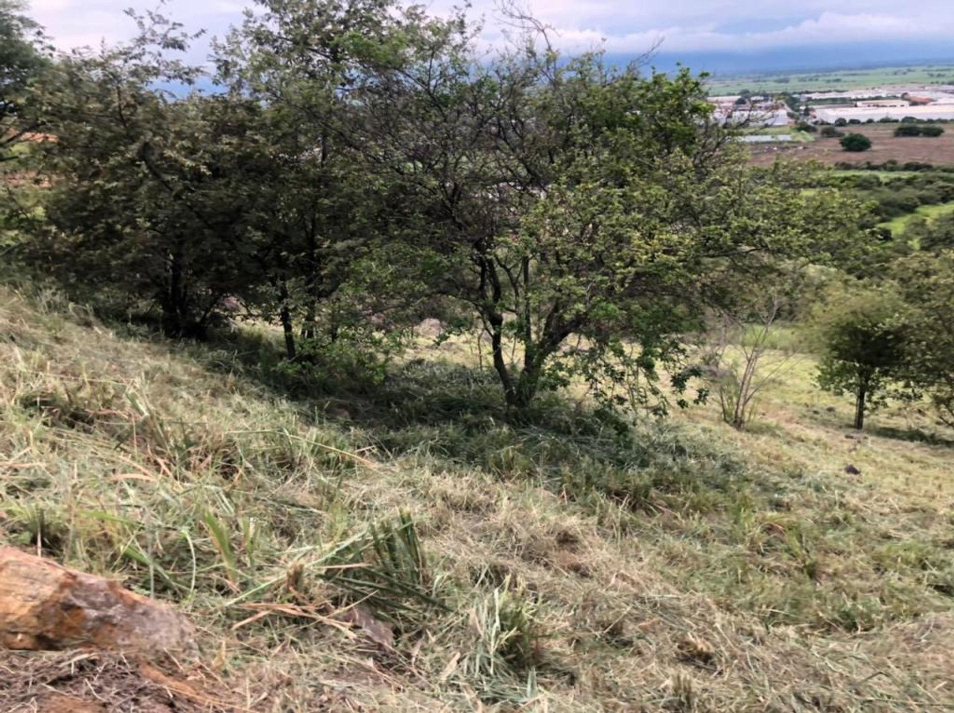 Wylądować w Jumbo, Valle del Cauca 10081006