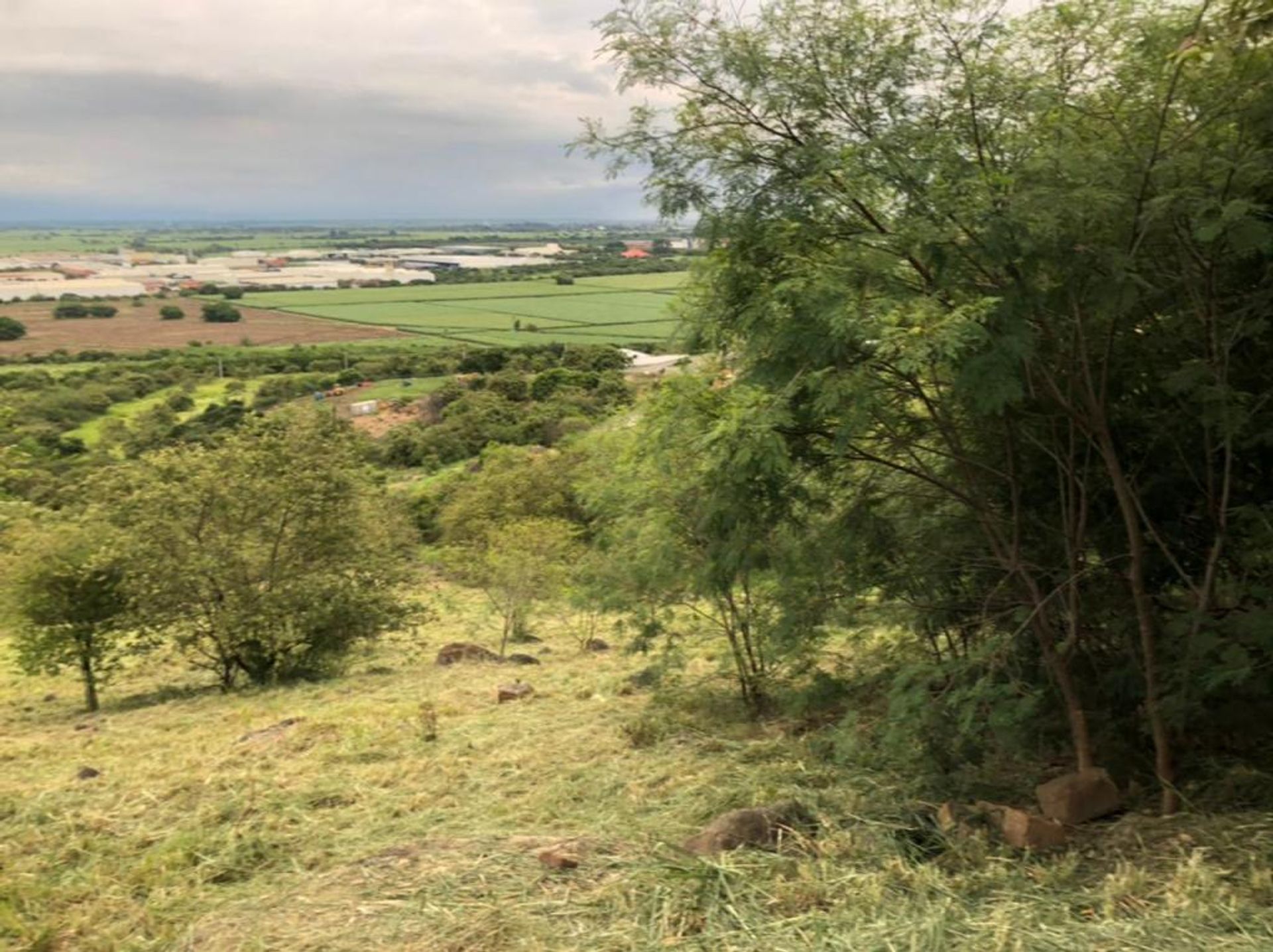 Wylądować w Jumbo, Valle del Cauca 10081006