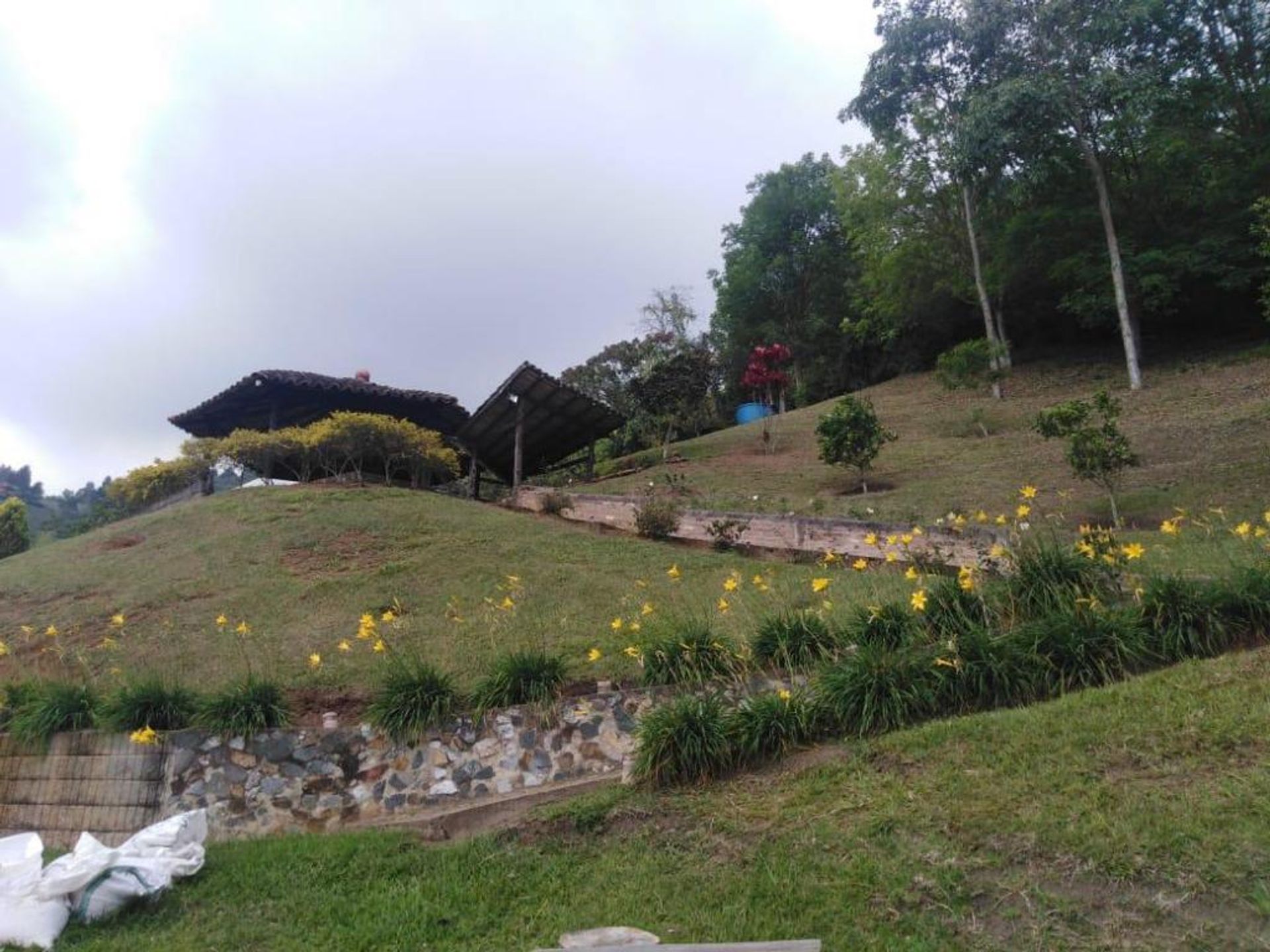 Terre dans La Estancia, Vallée du Cauca 10081012