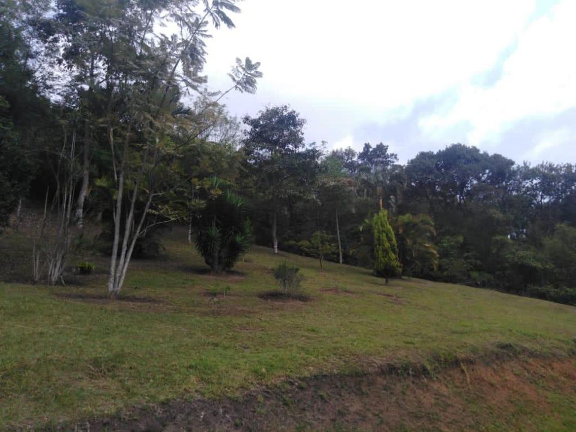 Terre dans La Estancia, Vallée du Cauca 10081012