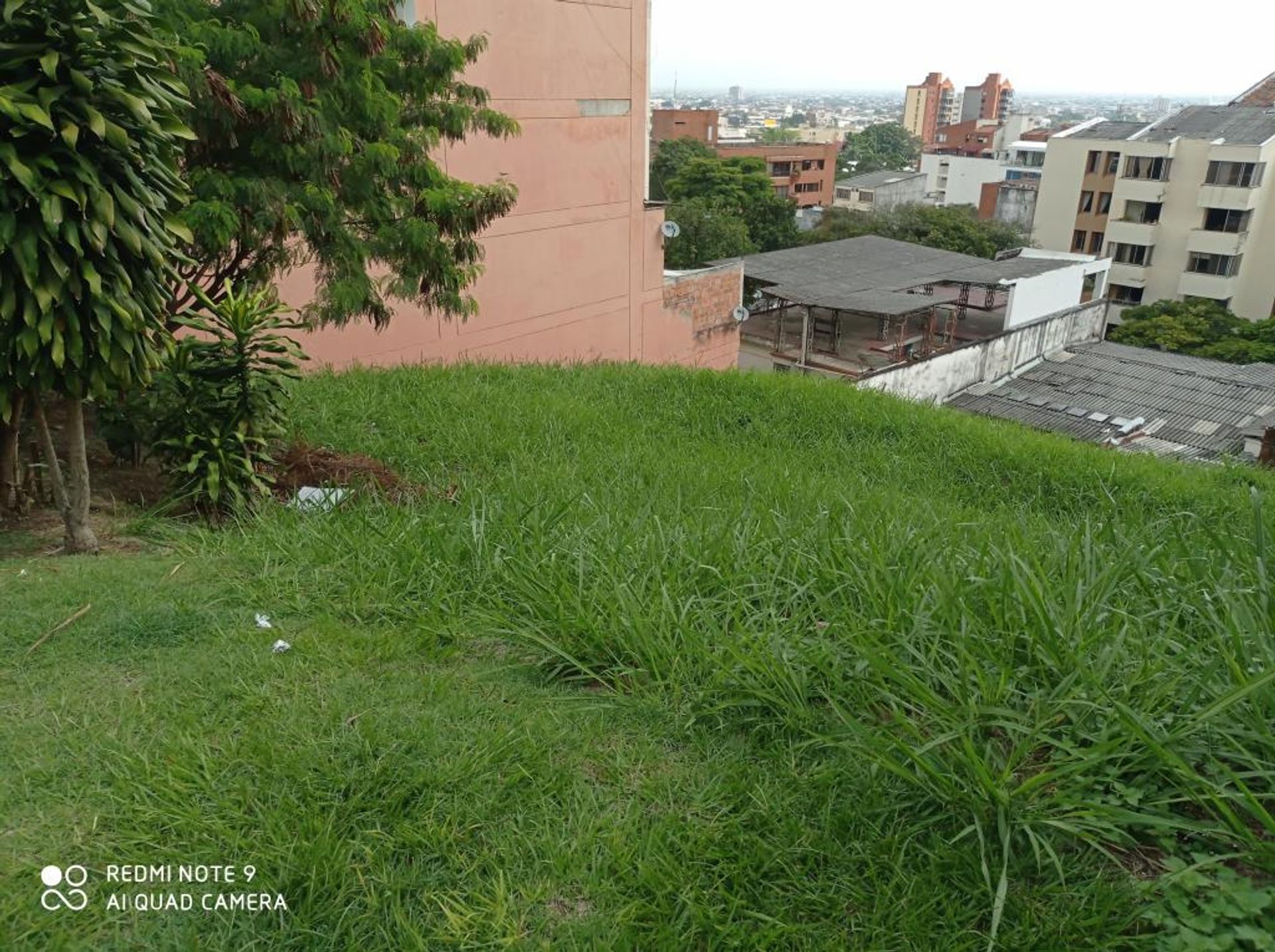 Terre dans Cali, Vallée du Cauca 10081029