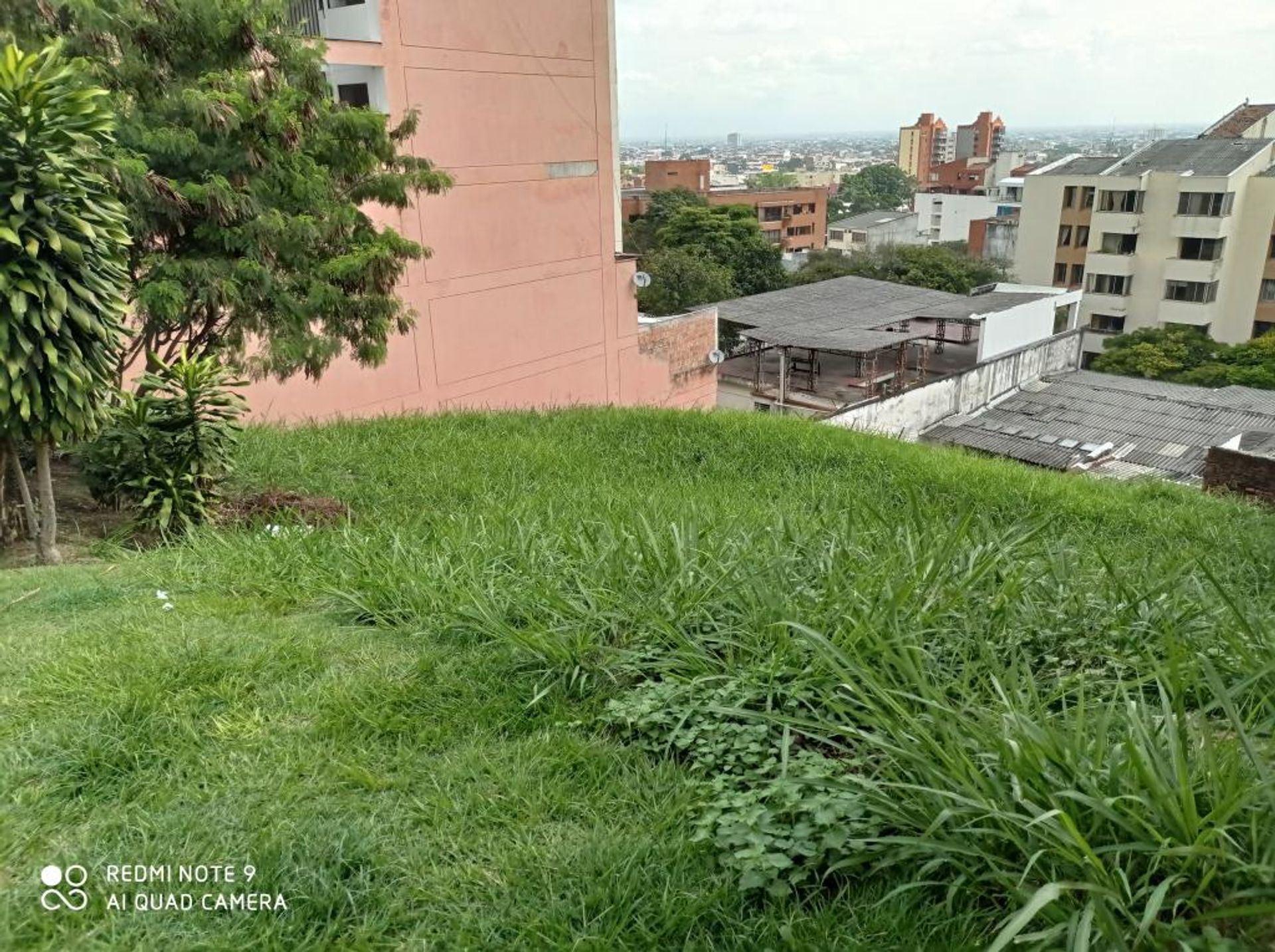 Terre dans Cali, Vallée du Cauca 10081029