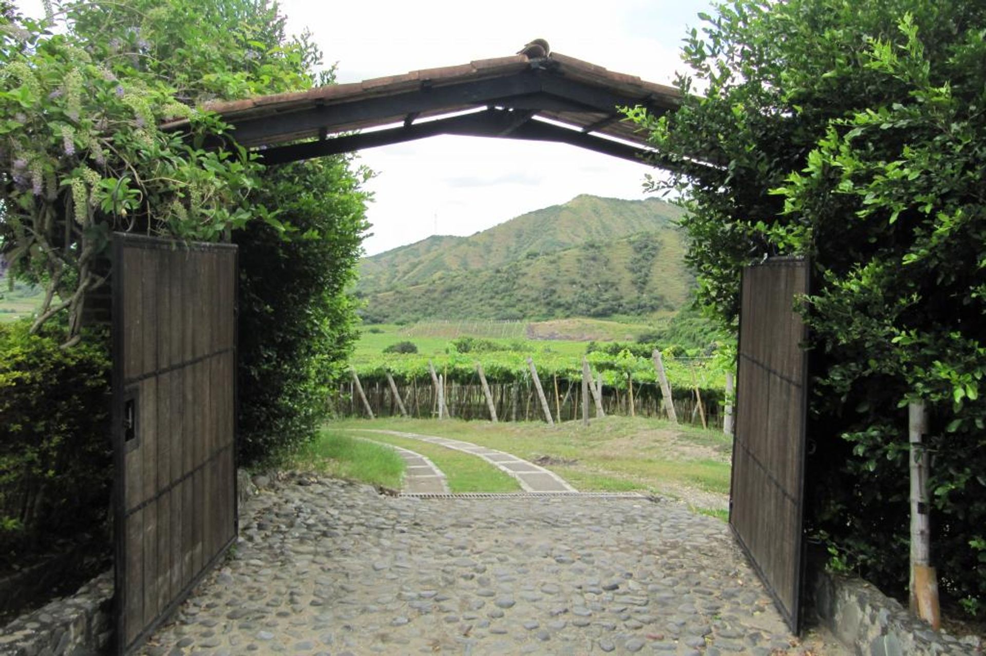 House in Carmen de Viboral, Antioquia 10081041