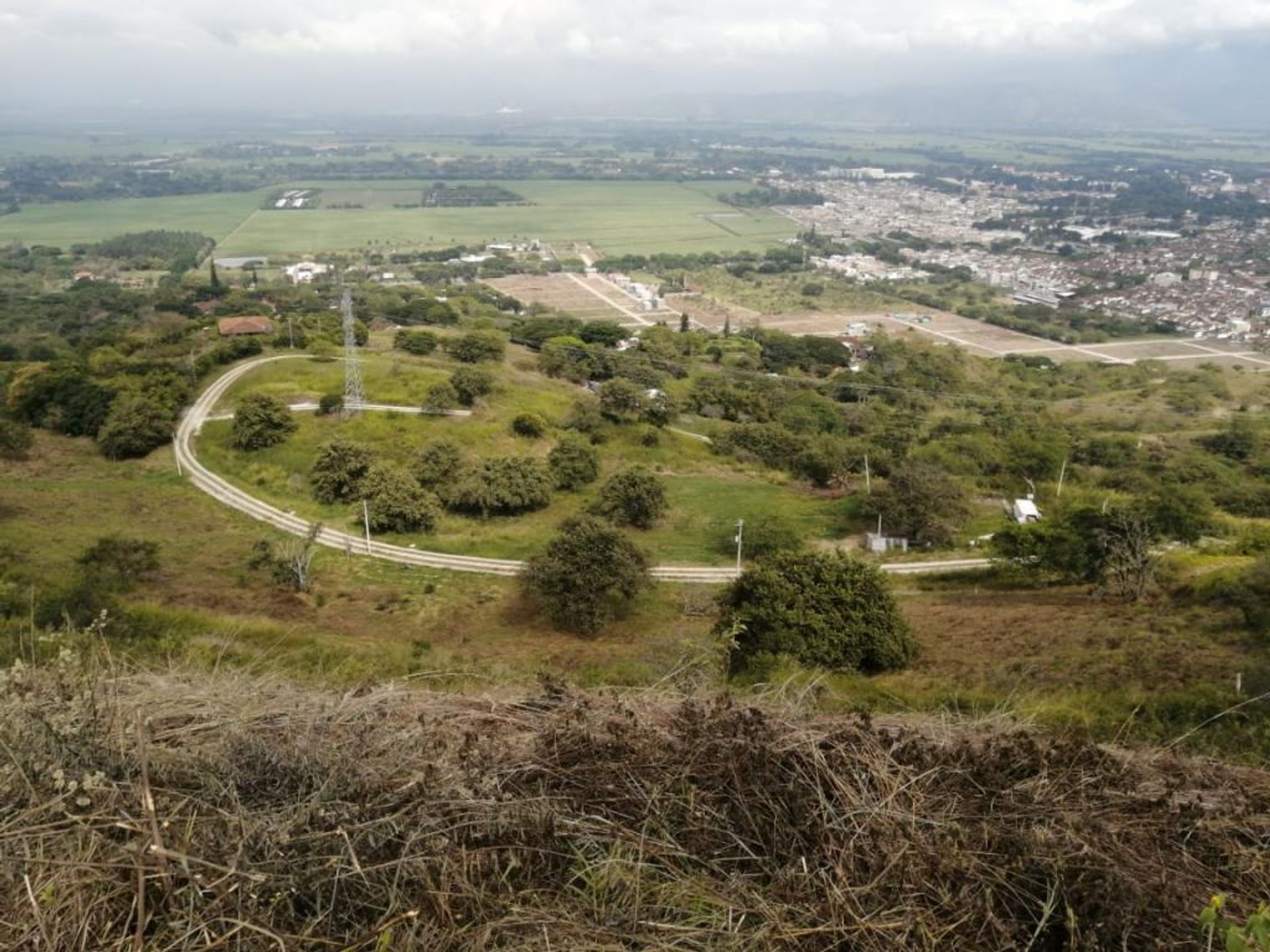 Земля в Guadalajara de Buga,  10081054