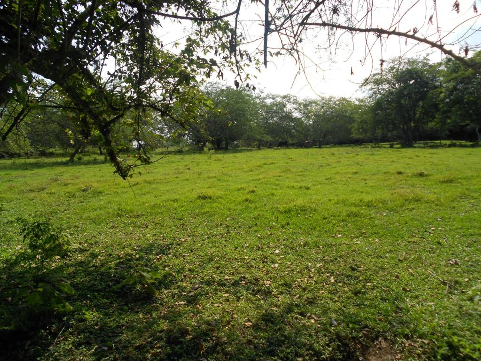 Land in Aguablanca, Valle del Cauca 10081123