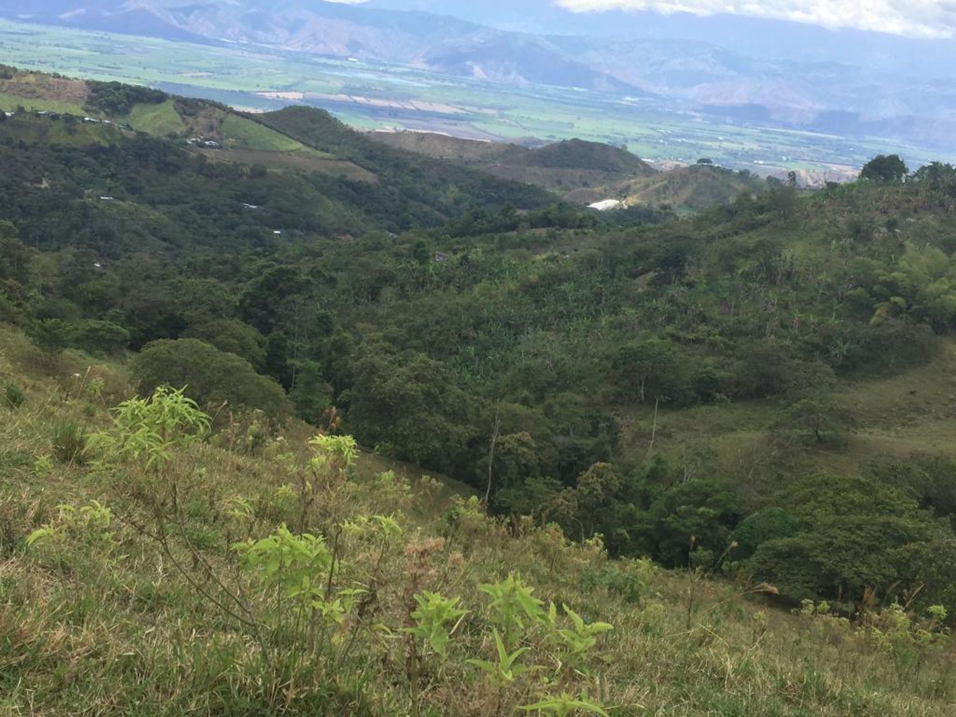 Rumah di Piendamó, Cauca 10081129