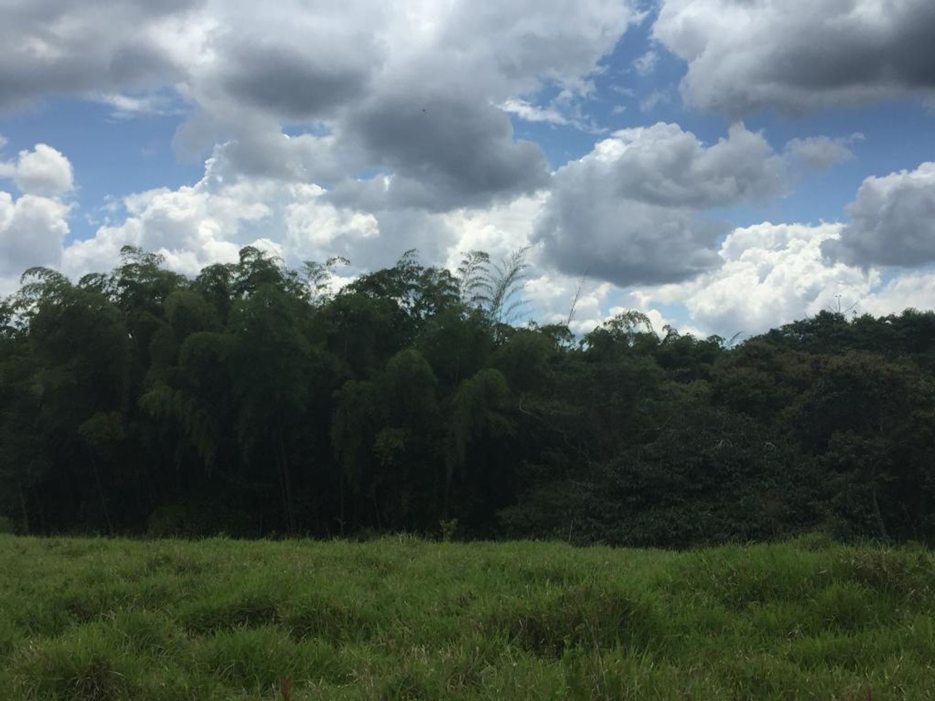 Rumah di Piendamó, Cauca 10081129