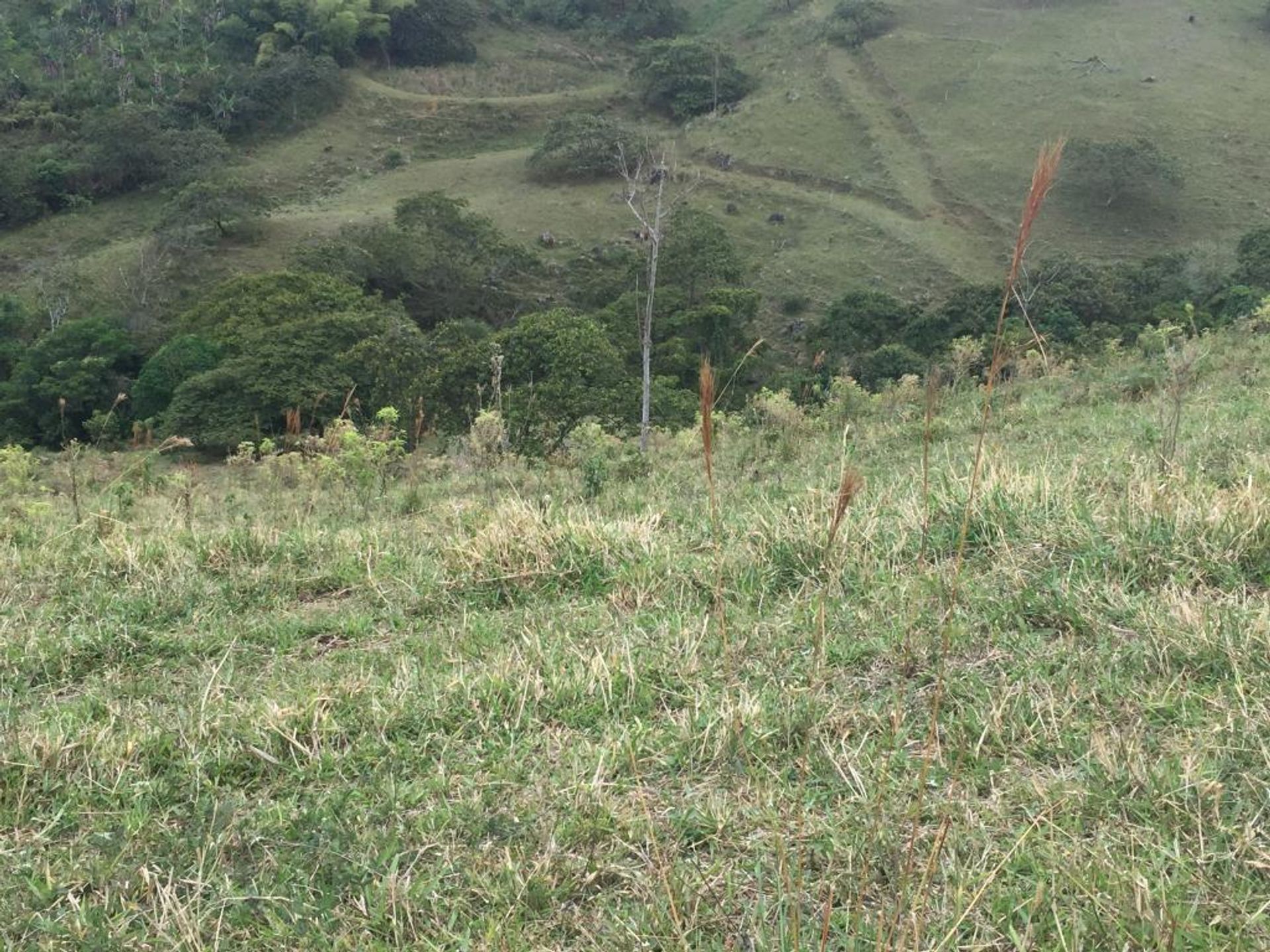 Rumah di Piendamó, Cauca 10081129