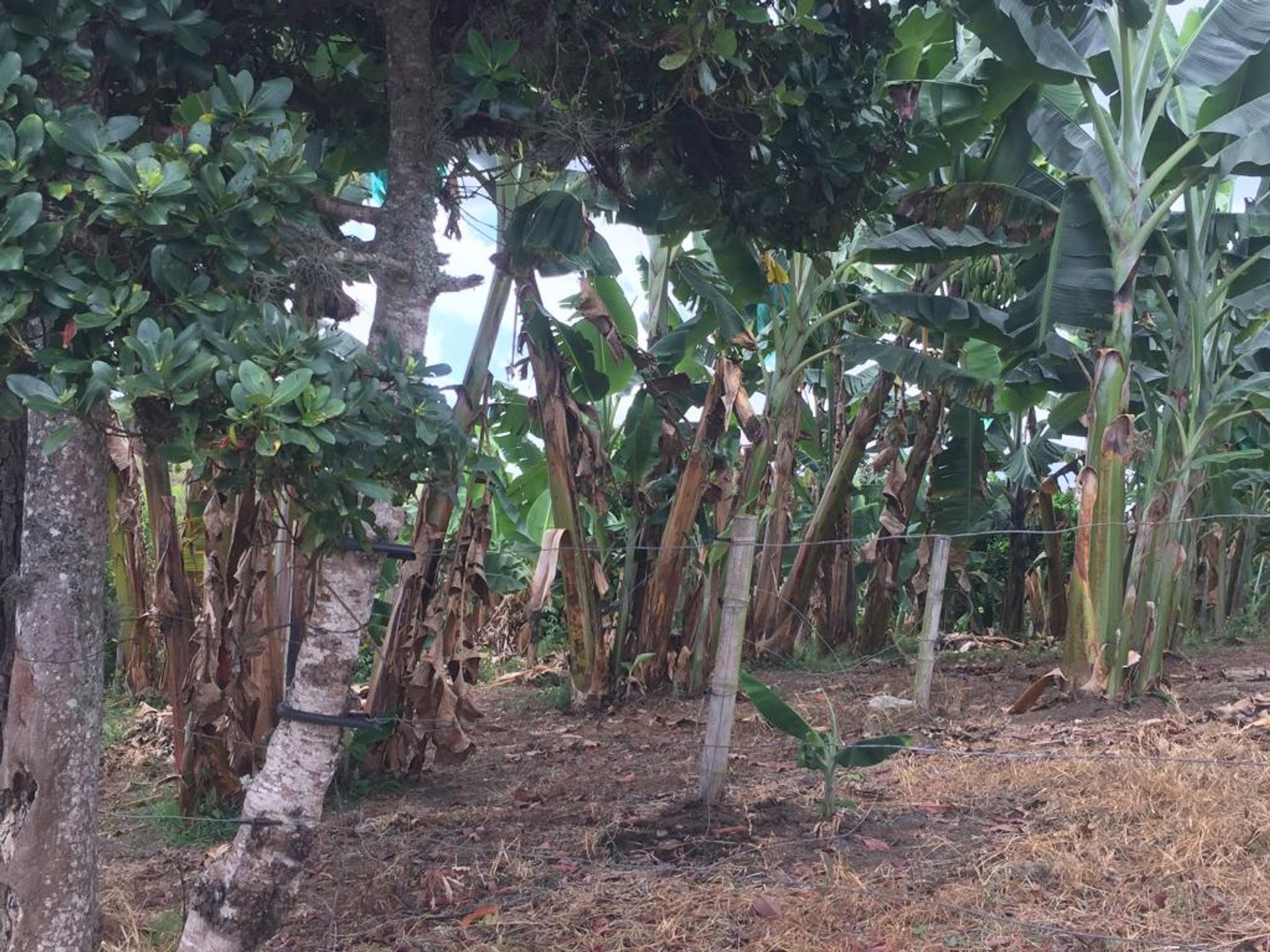 casa en guadalajara de buga, Valle del Cauca 10081154