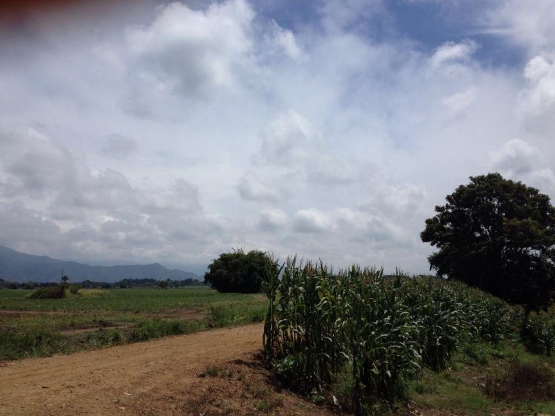 집 에 롤다니요, 발레 델 카우카 10081160