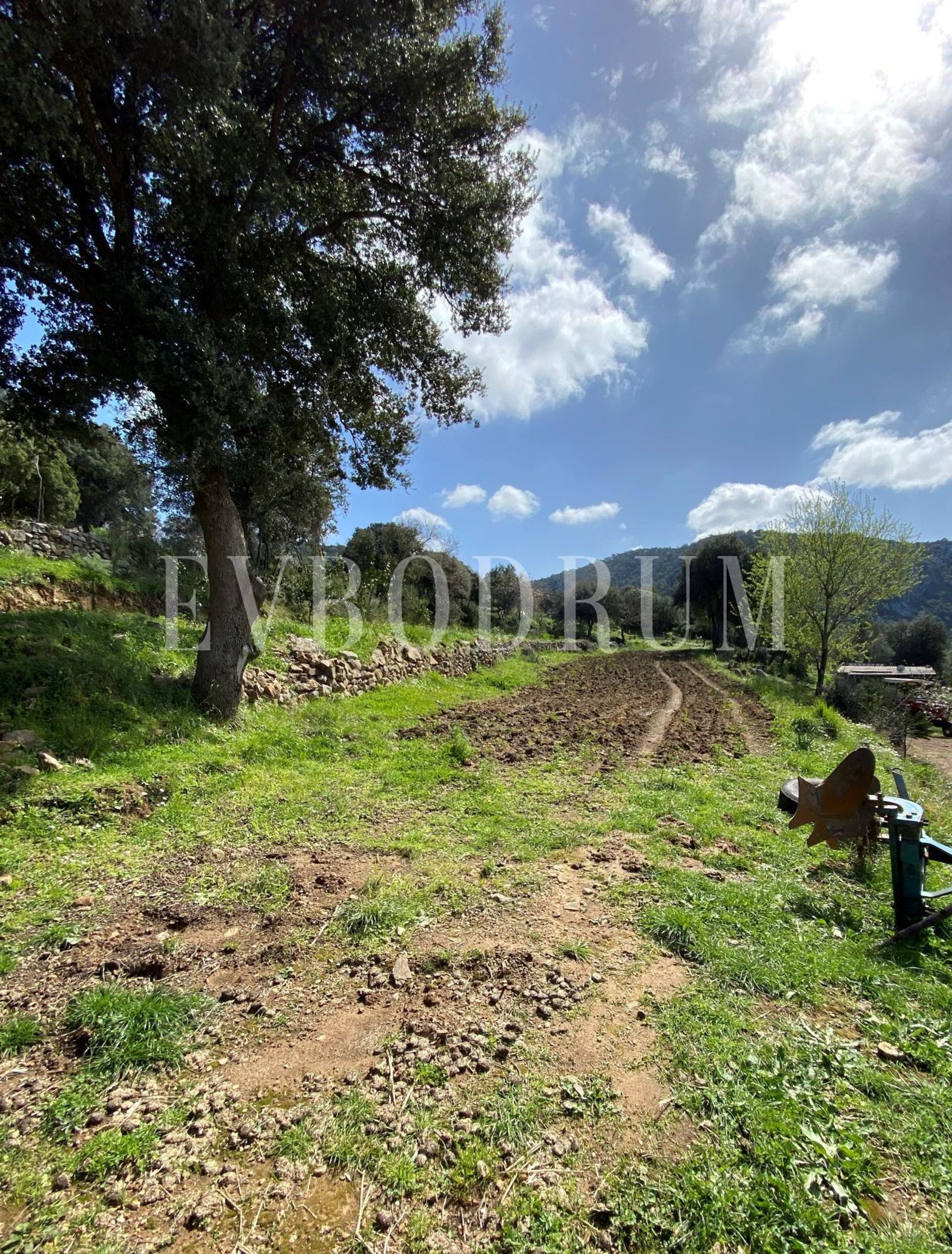 집 에 Dagbelen / Bodrum,  10081182