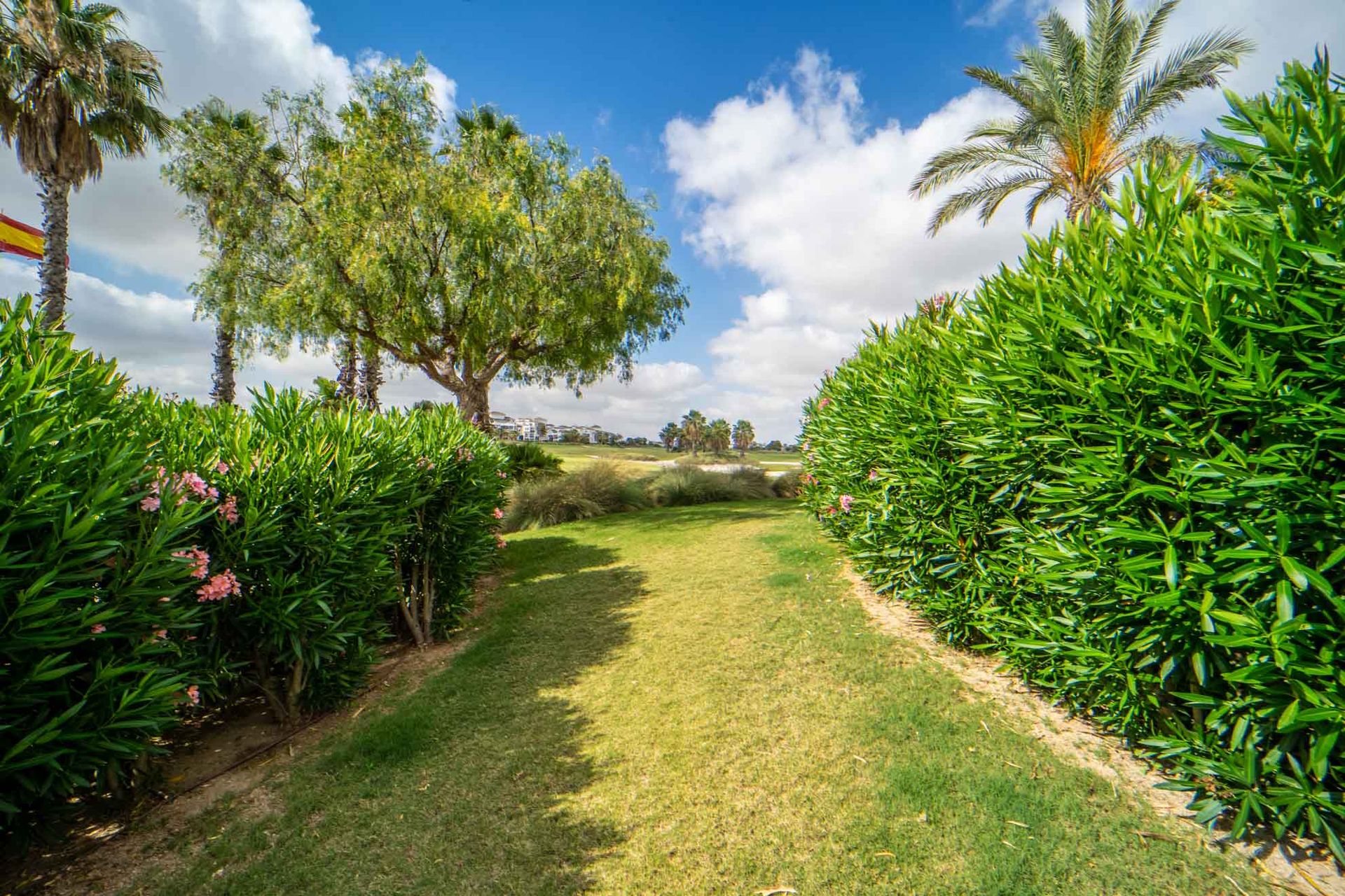 Condominium in La Torre Golf Resort, Murcia 10081303