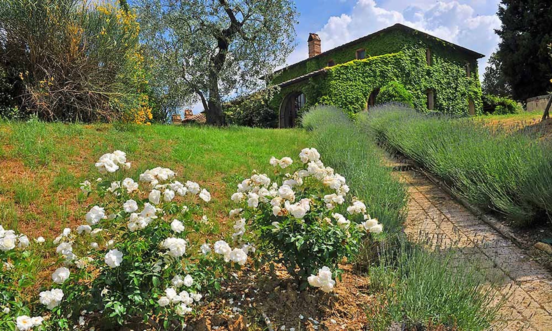 Rumah di Montefollonico, Tuscany 10081901