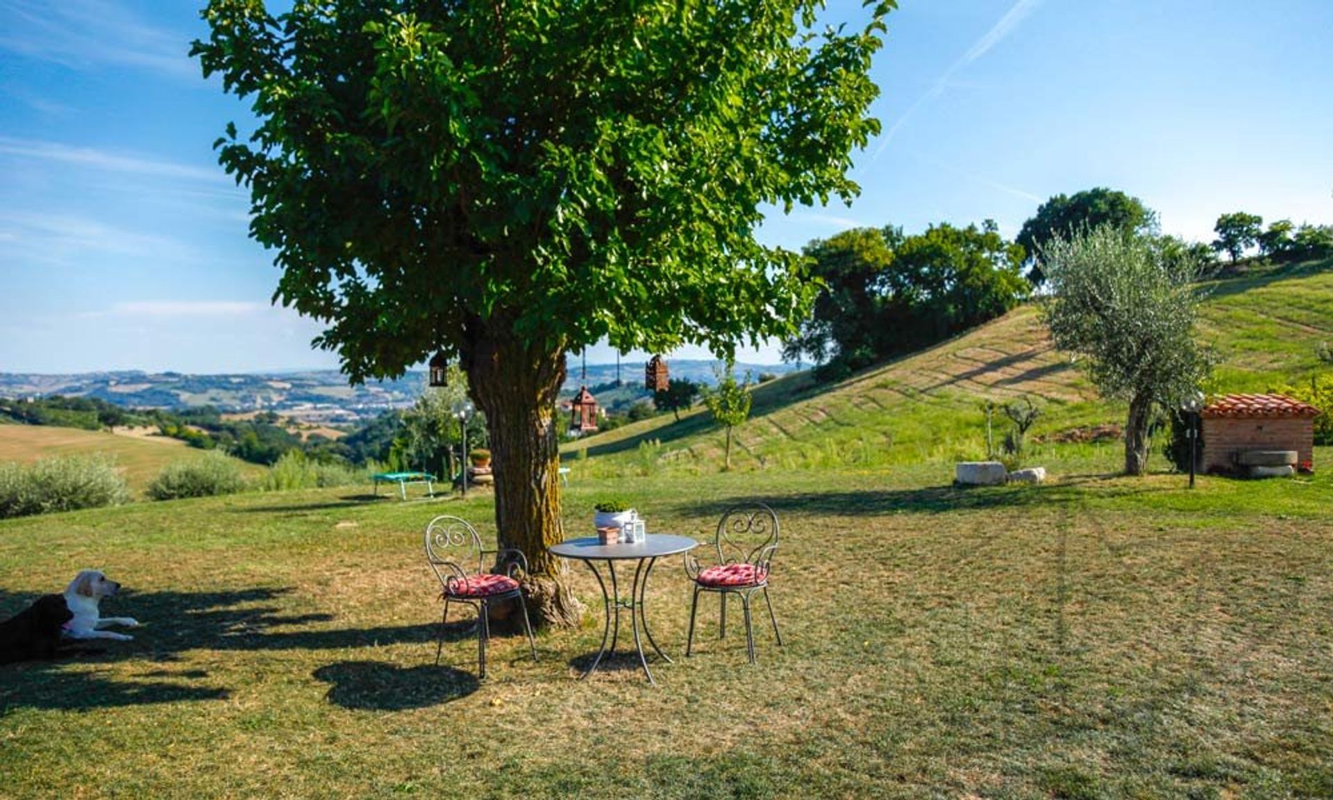 casa no Serrungarina, Marche 10081910