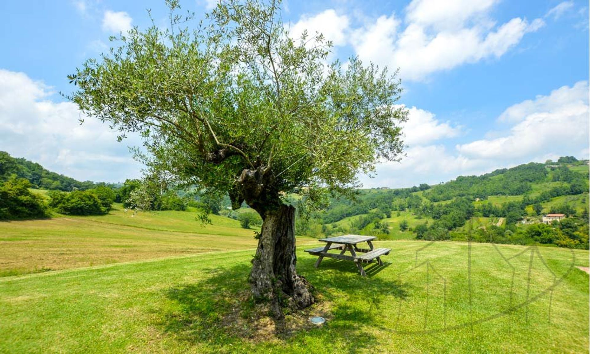 Detaljhandel i Gualdo, Marche 10081921