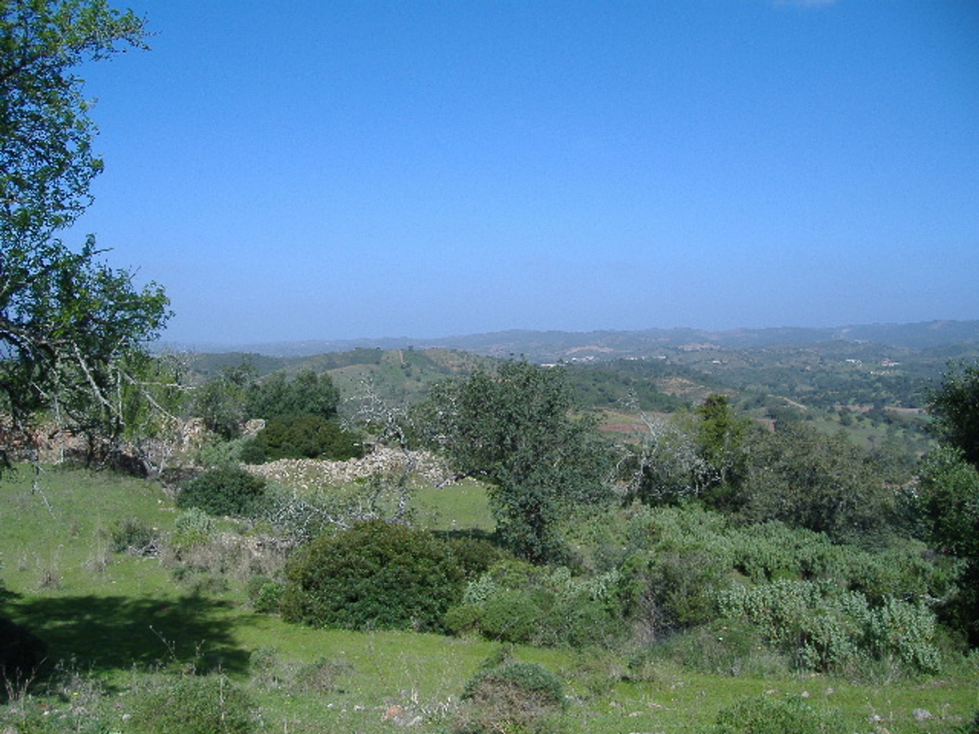 Tierra en Armação de Pera, Faraón 10081955