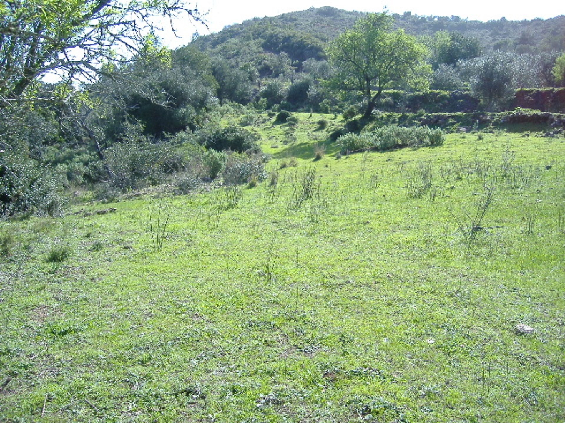 Tierra en Armação de Pera, Faraón 10081955