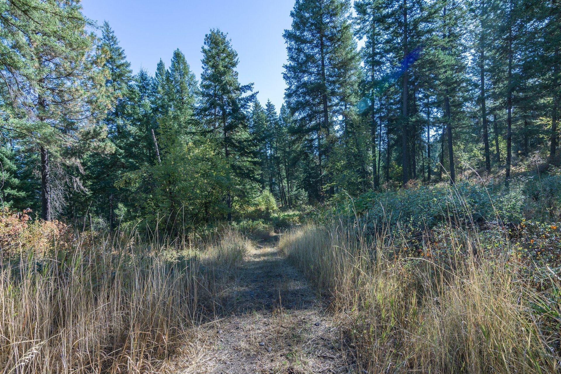 House in Green Bluff, Washington 10082014