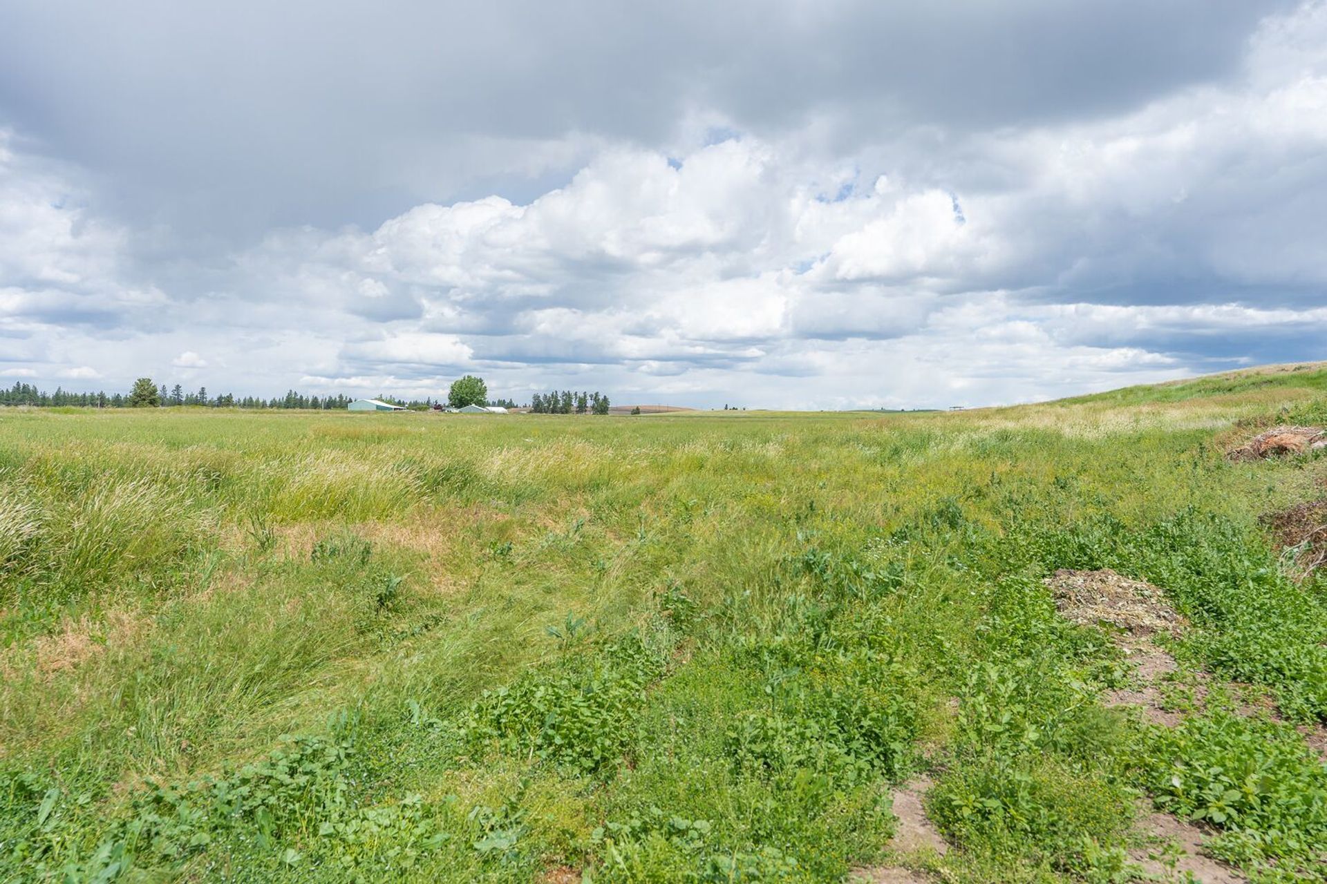 Talo sisään Waukon, Washington 10082028